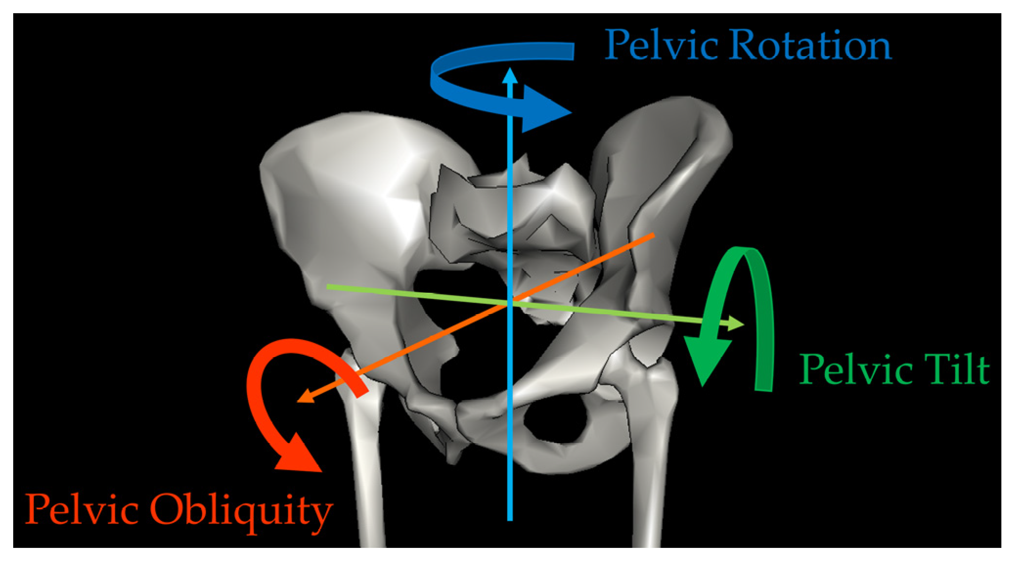 Bioengineering 10 01214 g001