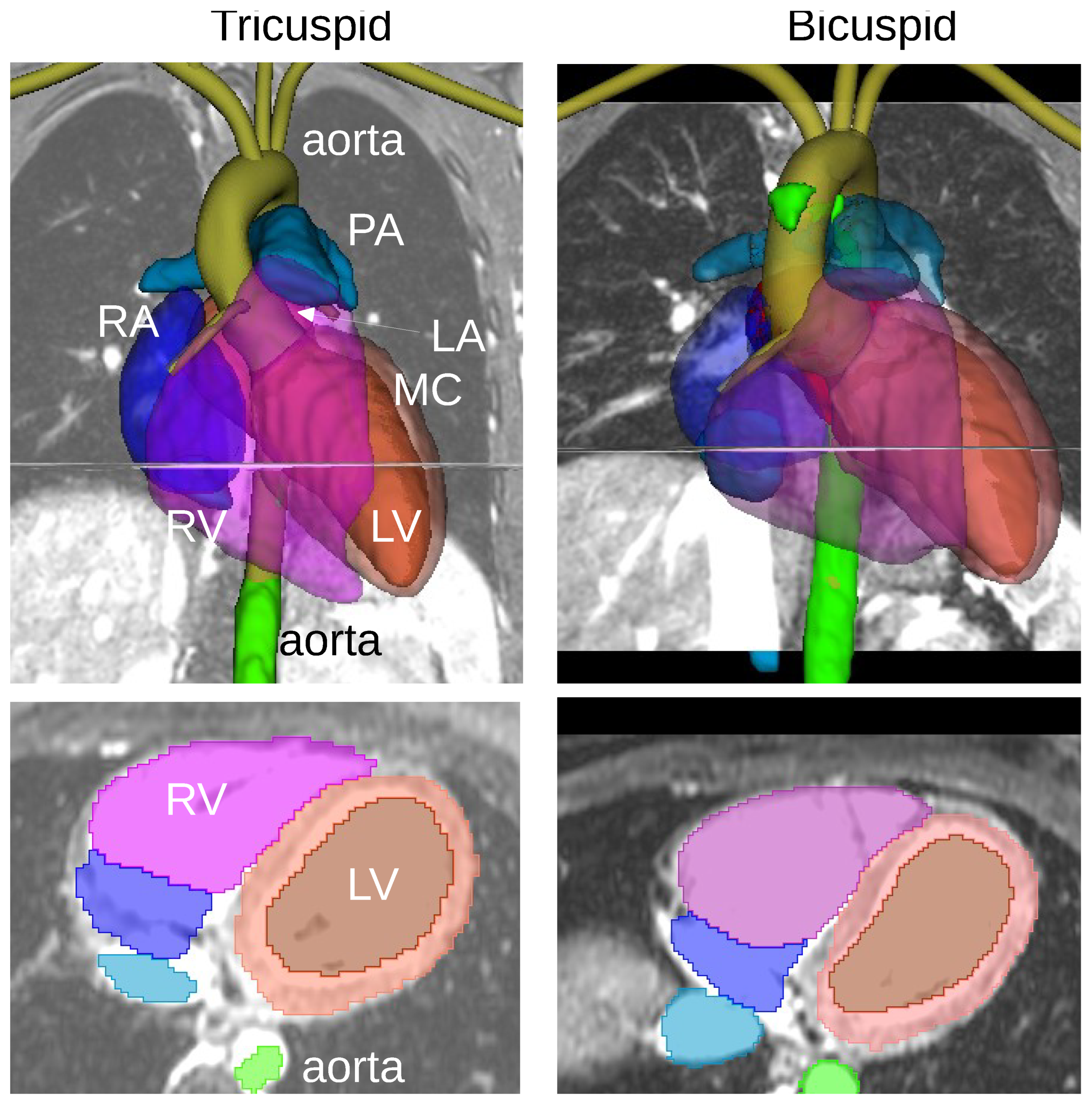 Bioengineering 10 01216 g002