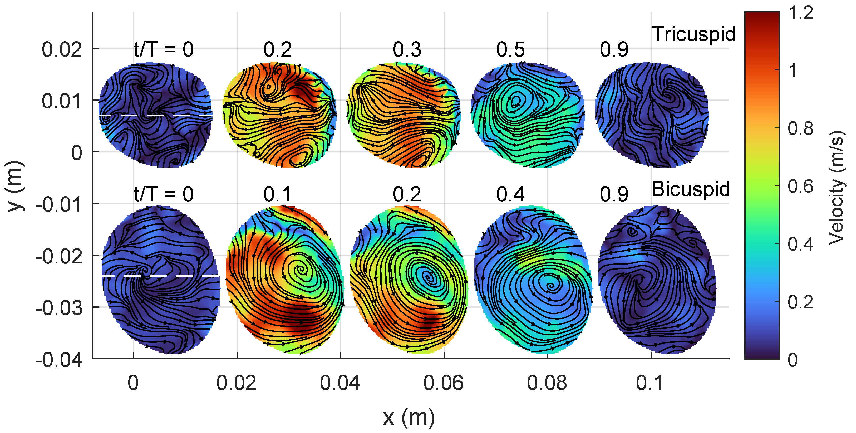 Bioengineering 10 01216 g005