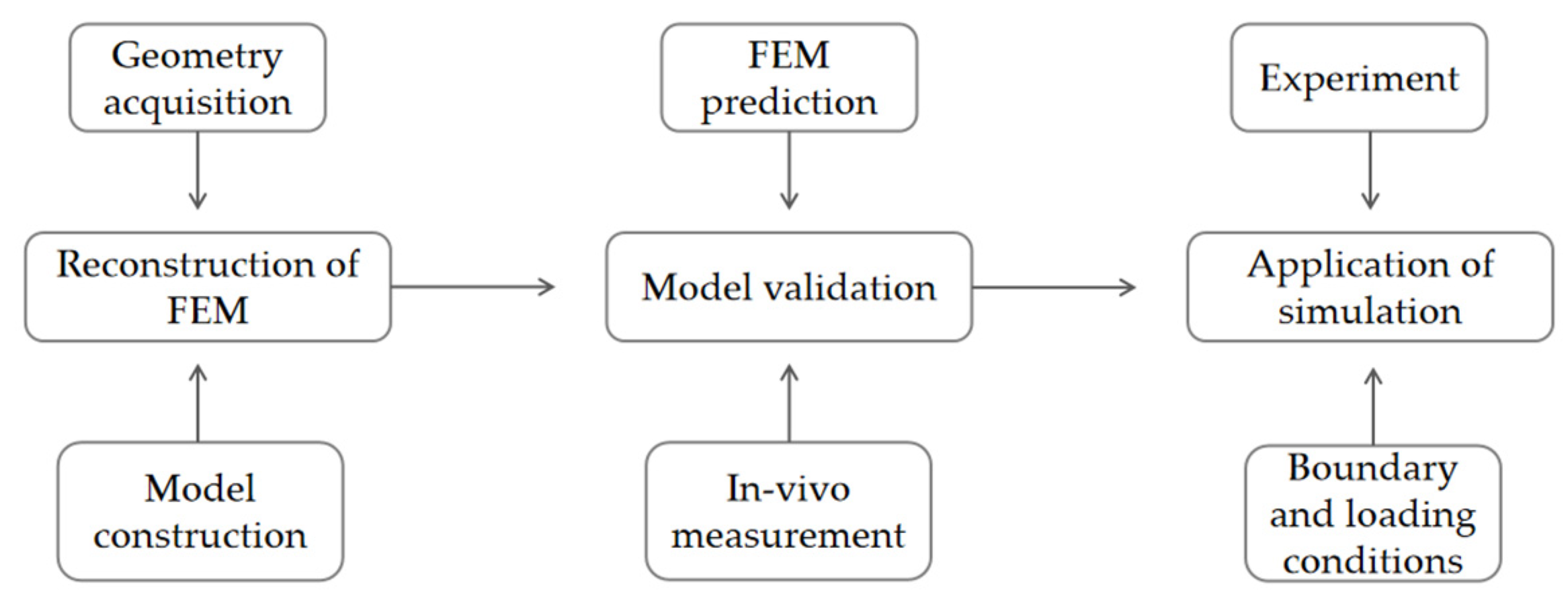 Bioengineering 10 01218 g001