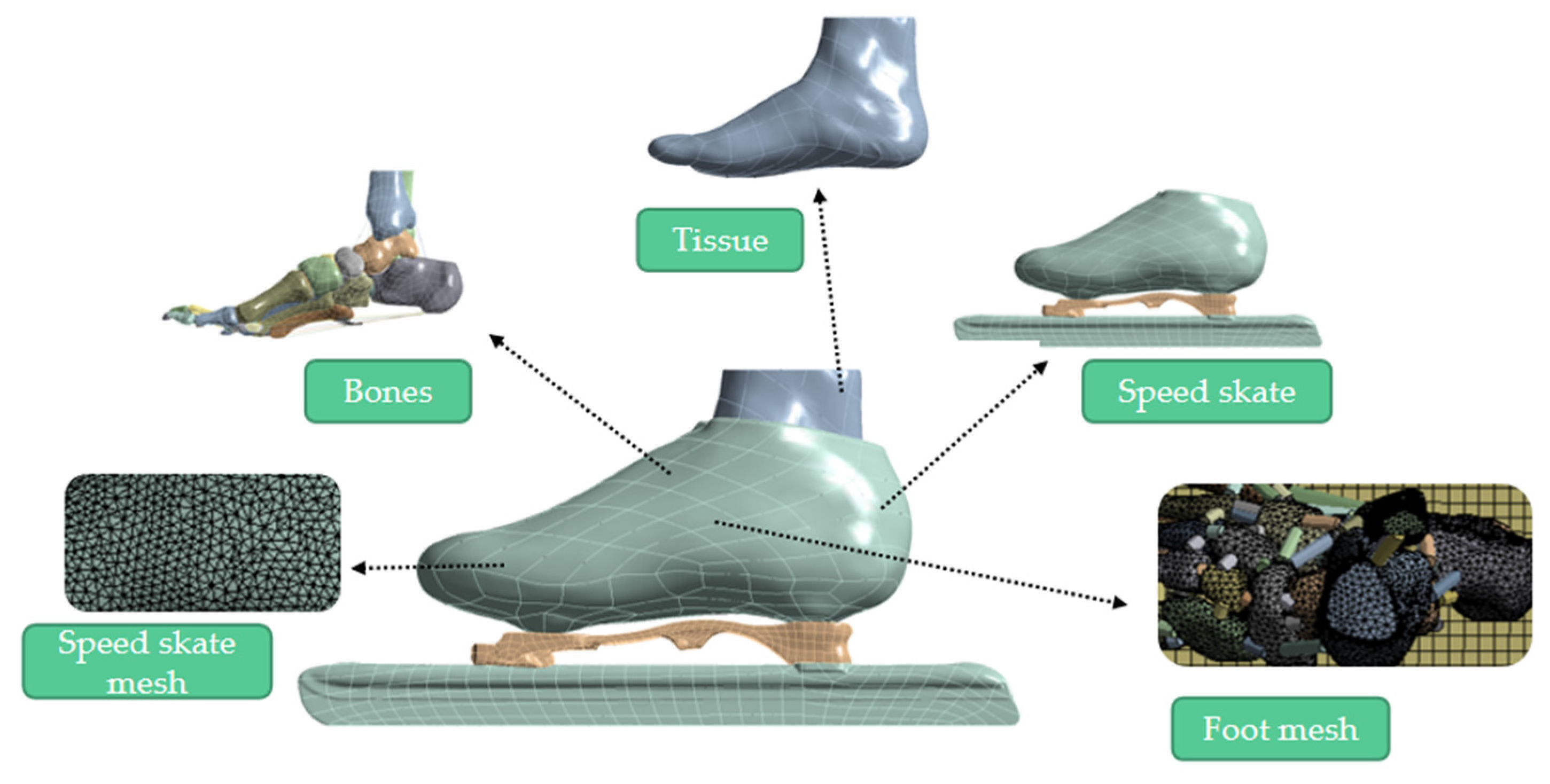 Bioengineering 10 01218 g002
