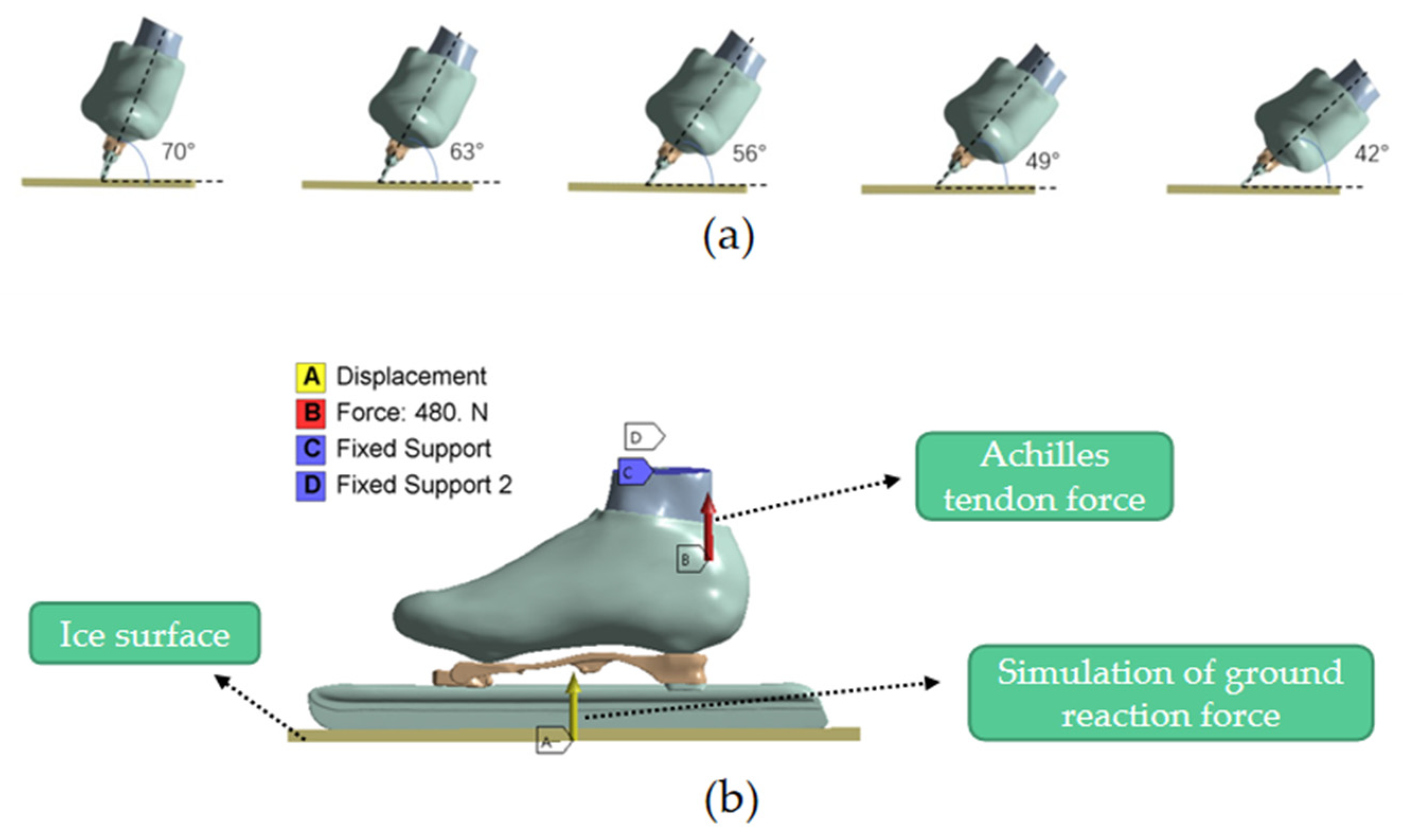 Bioengineering 10 01218 g004