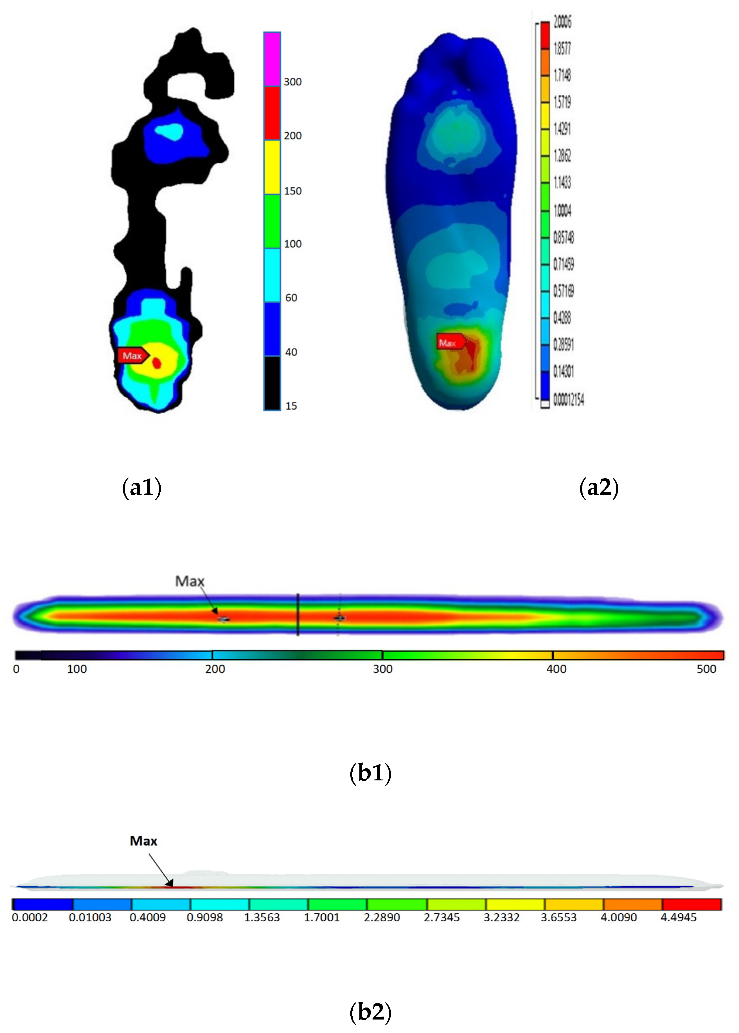 Bioengineering 10 01218 g005