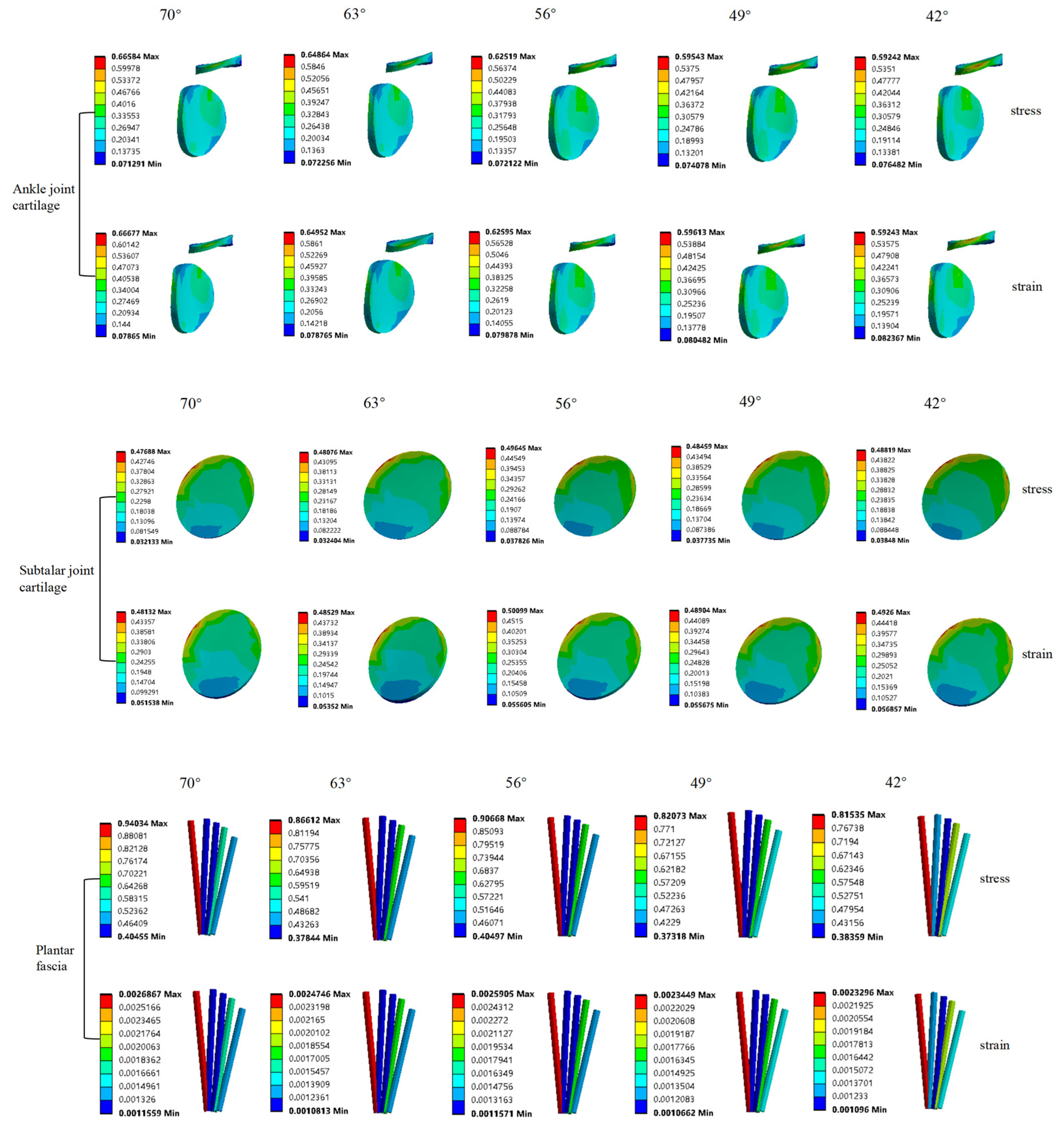 Bioengineering 10 01218 g007b