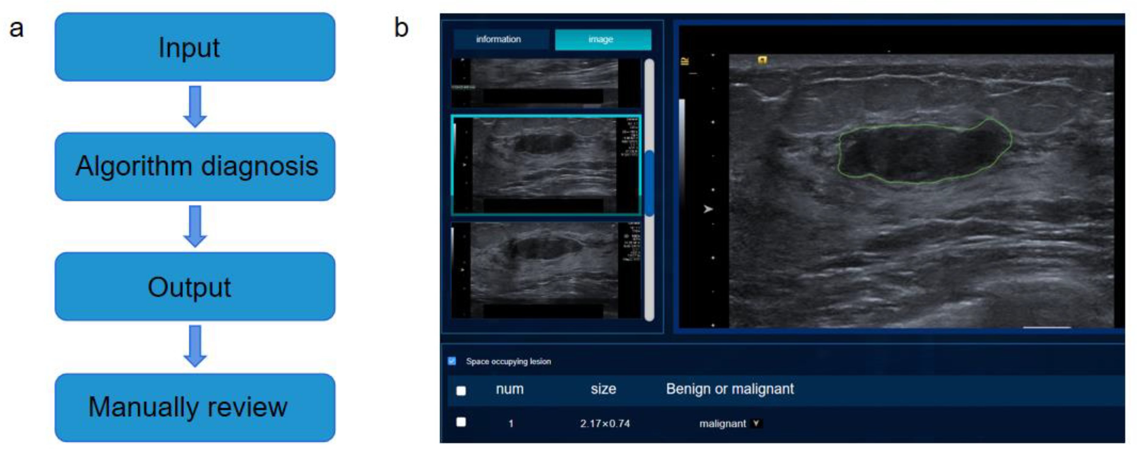 Bioengineering 10 01220 g010