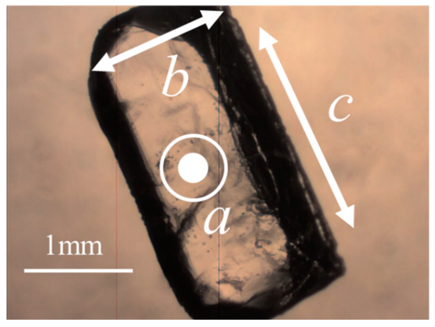 Bioengineering 10 01223 g002
