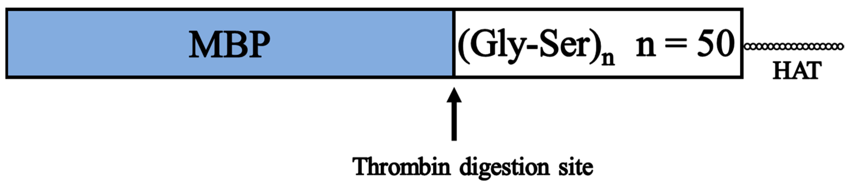 Bioengineering 10 01223 g006