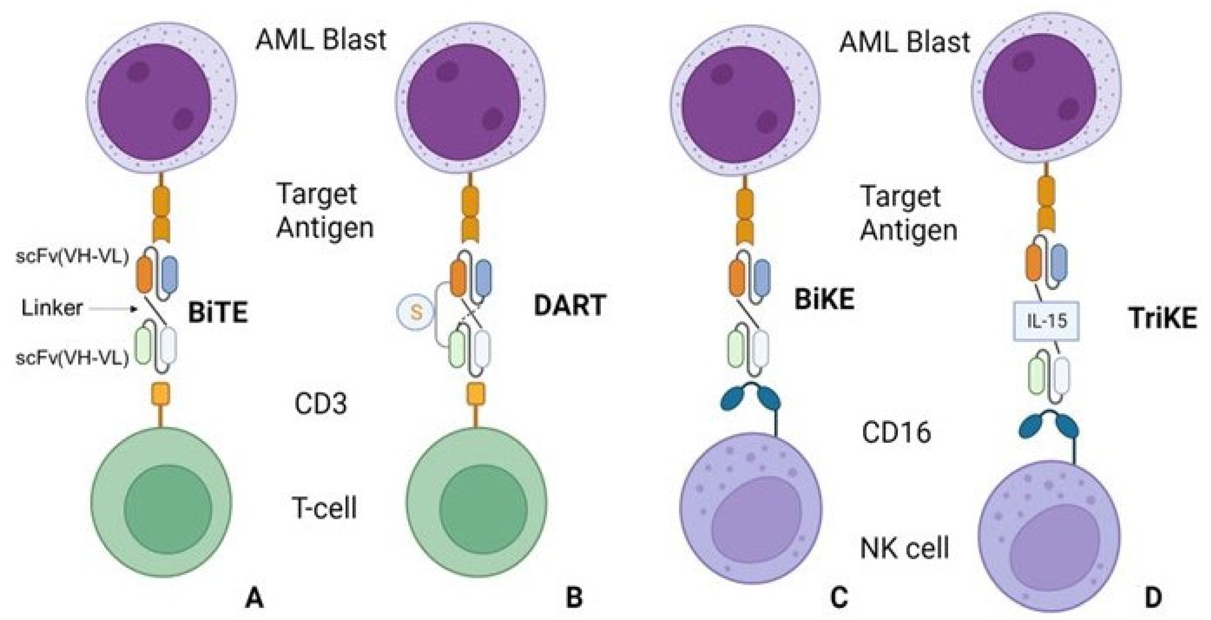 Bioengineering 10 01228 g001
