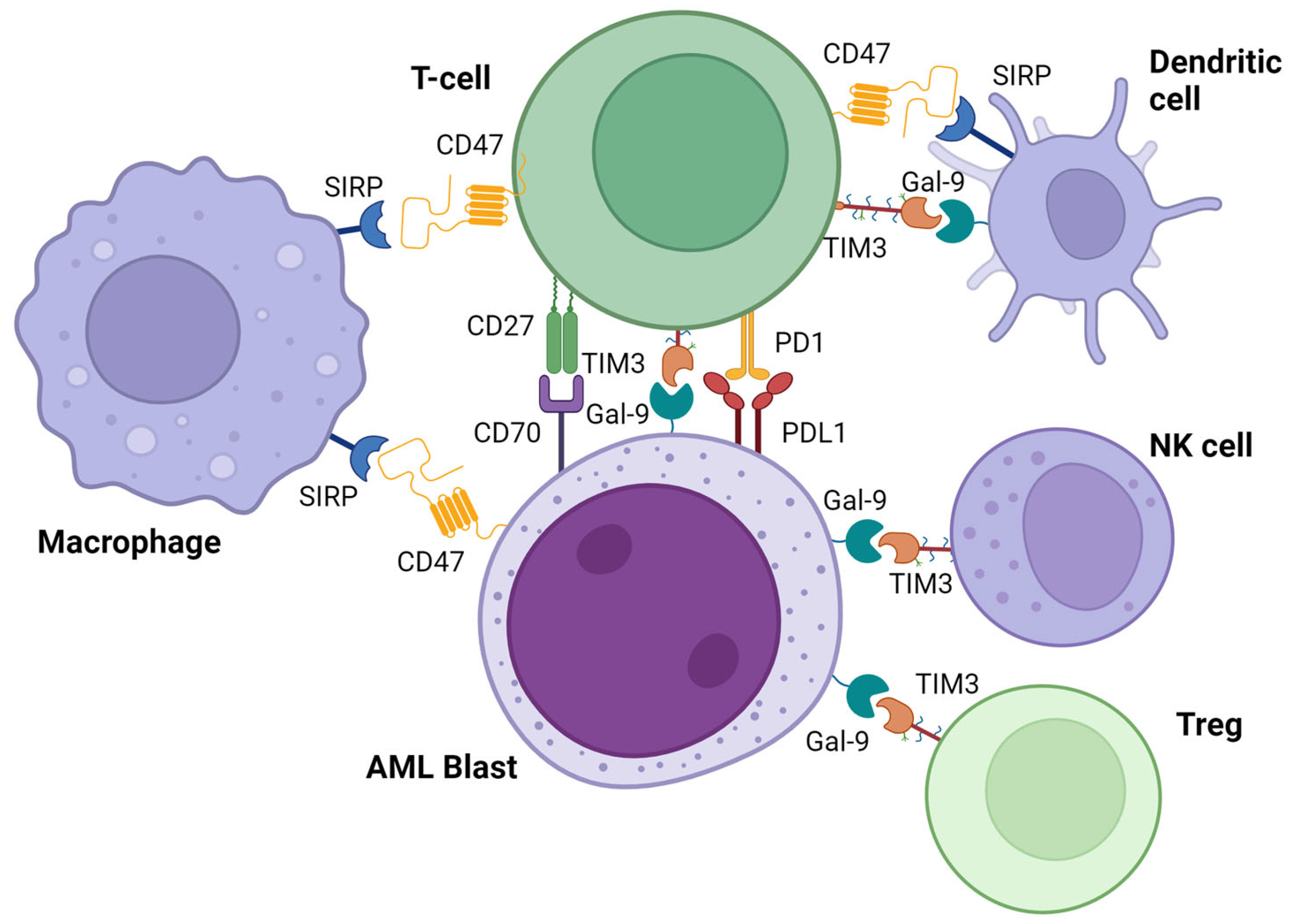 Bioengineering 10 01228 g003