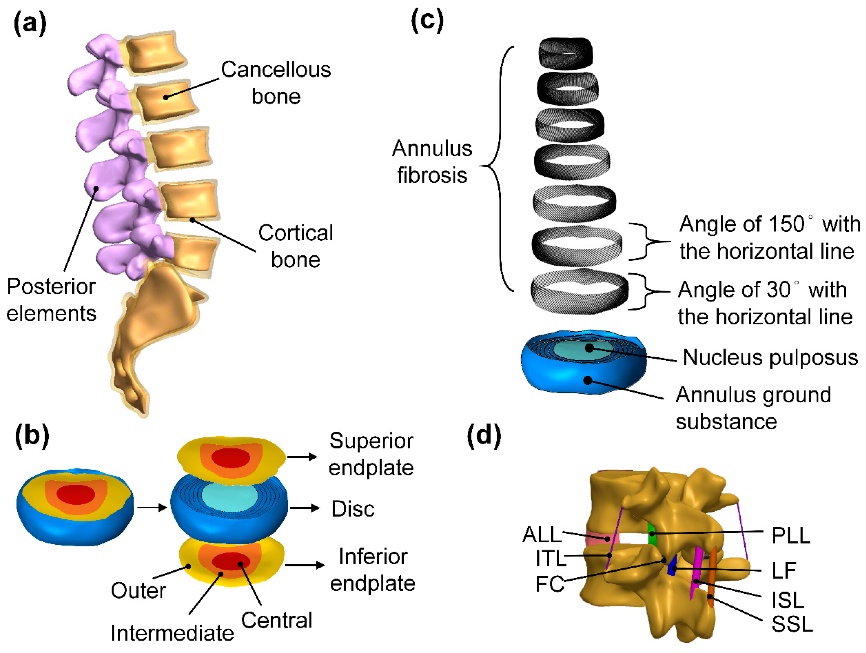 Bioengineering 10 01238 g001