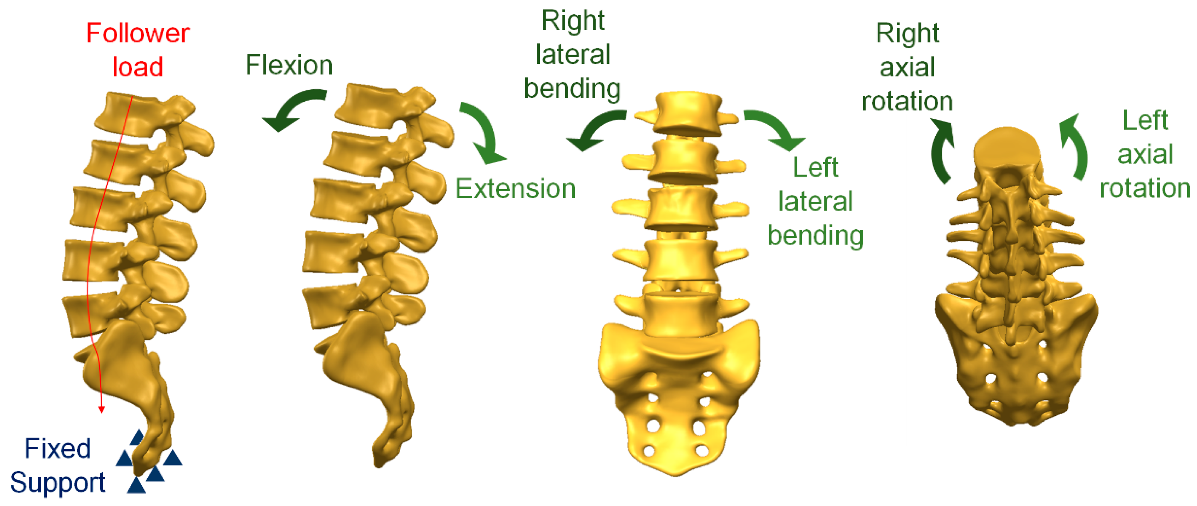 Bioengineering 10 01238 g003