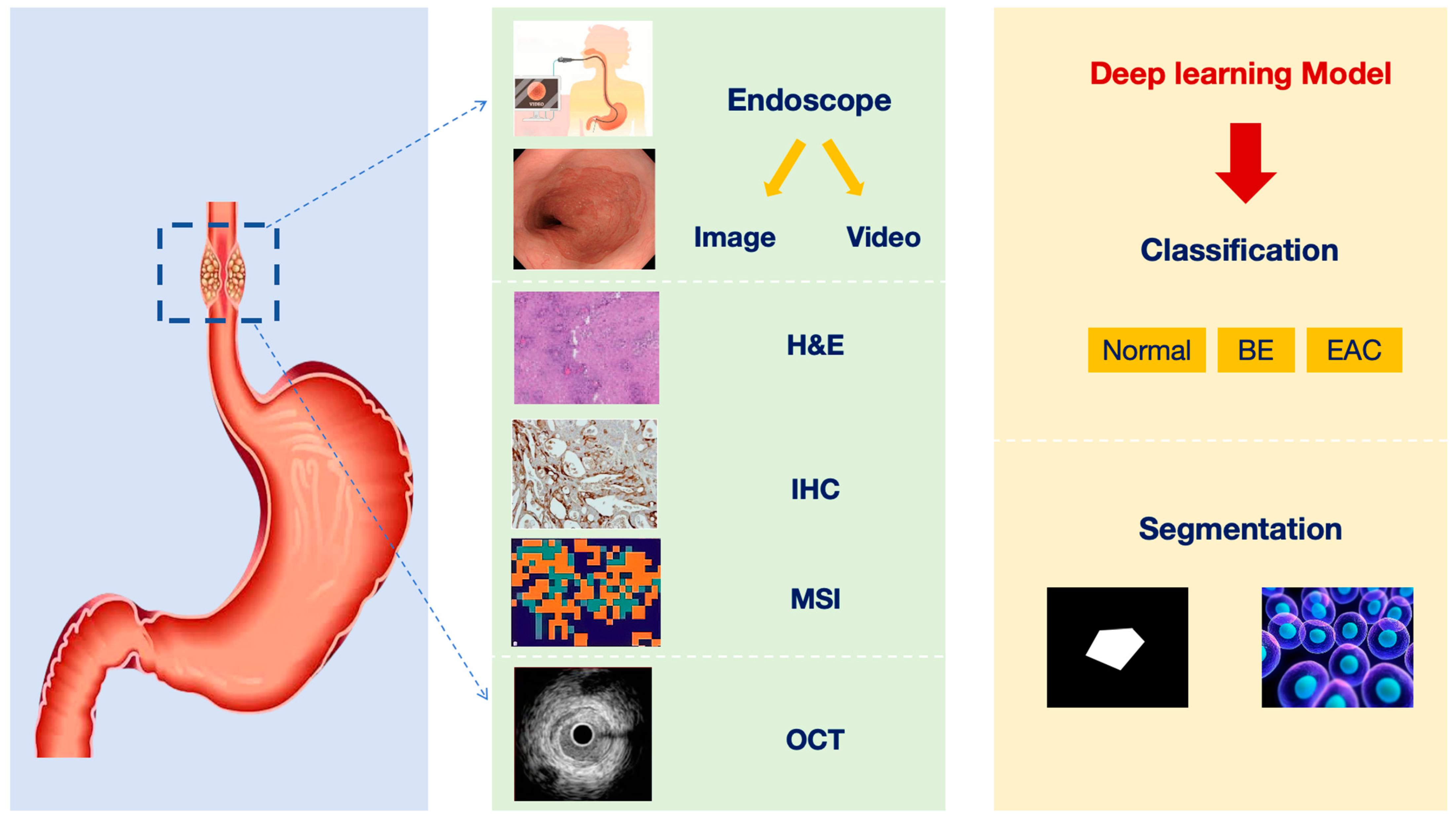 Bioengineering 10 01239 g003
