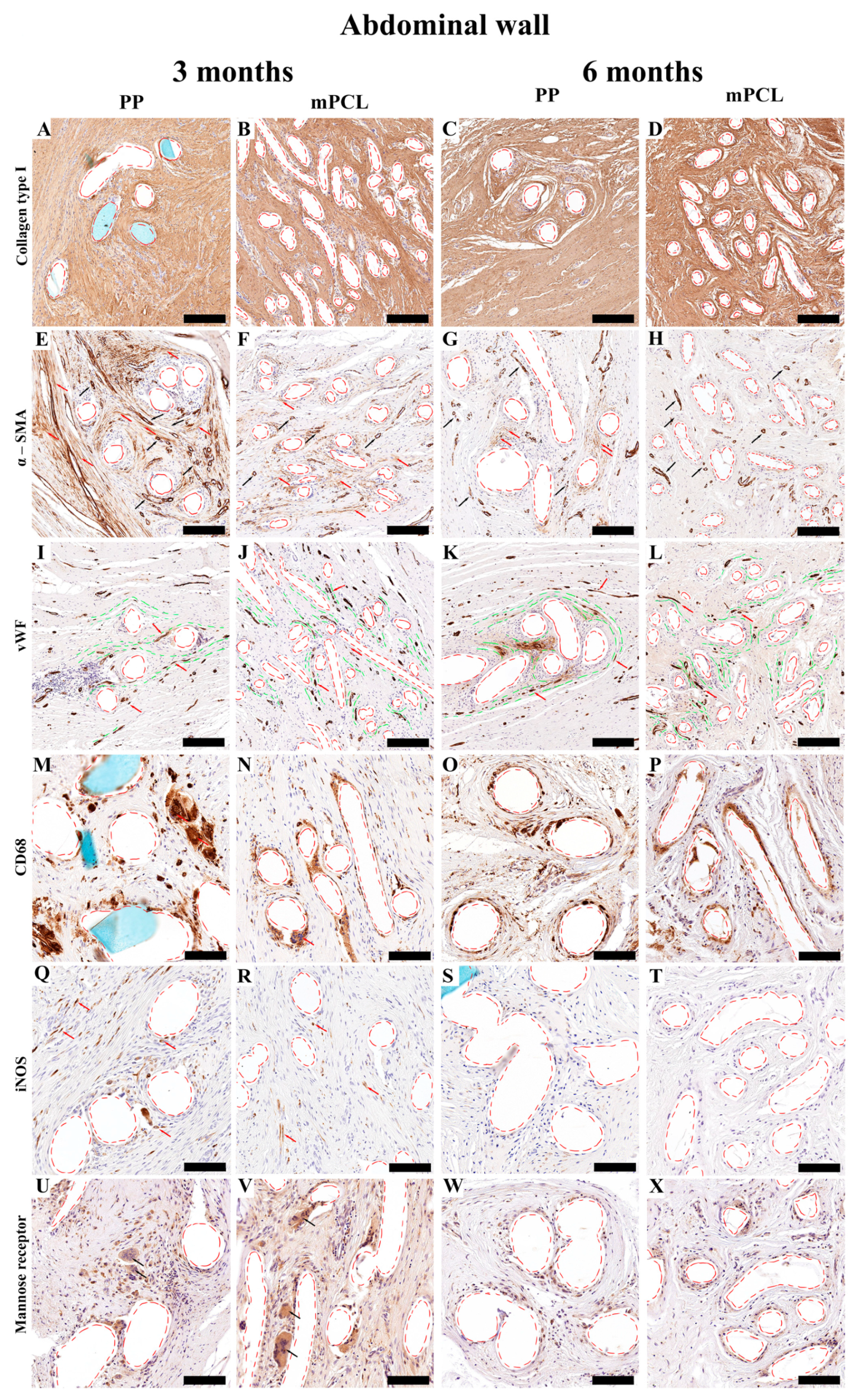 Bioengineering 10 01242 g007