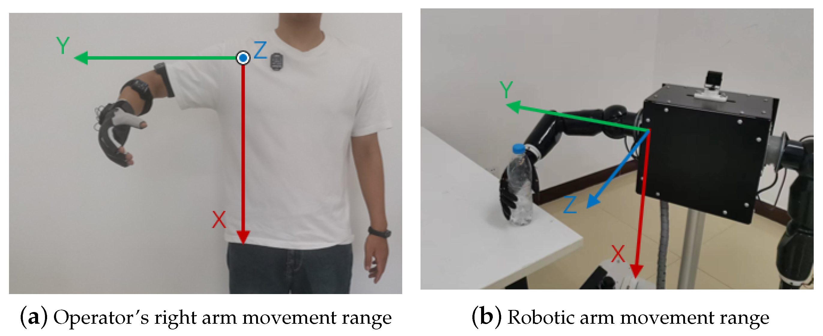 Bioengineering 10 01243 g011