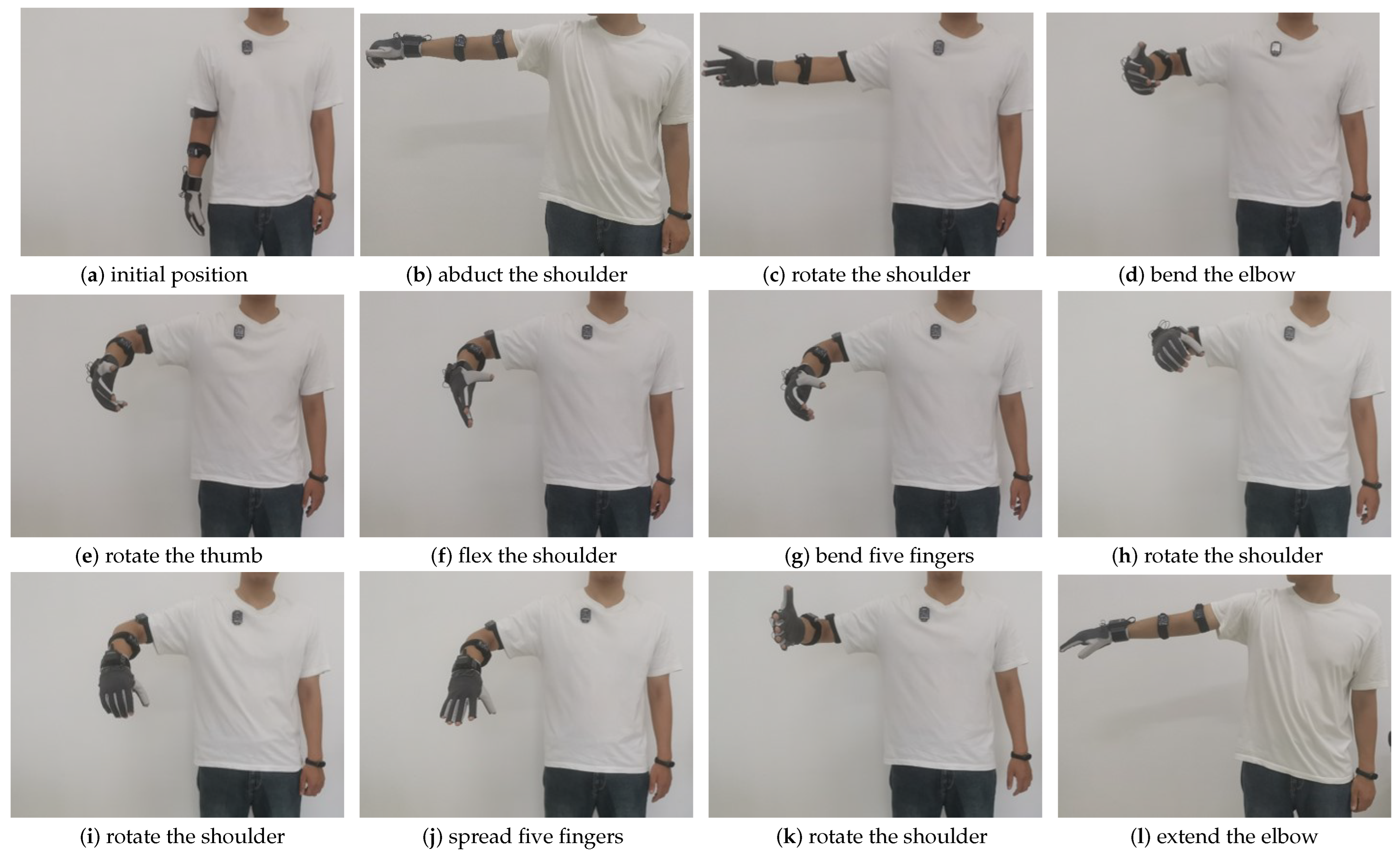 Bioengineering 10 01243 g017