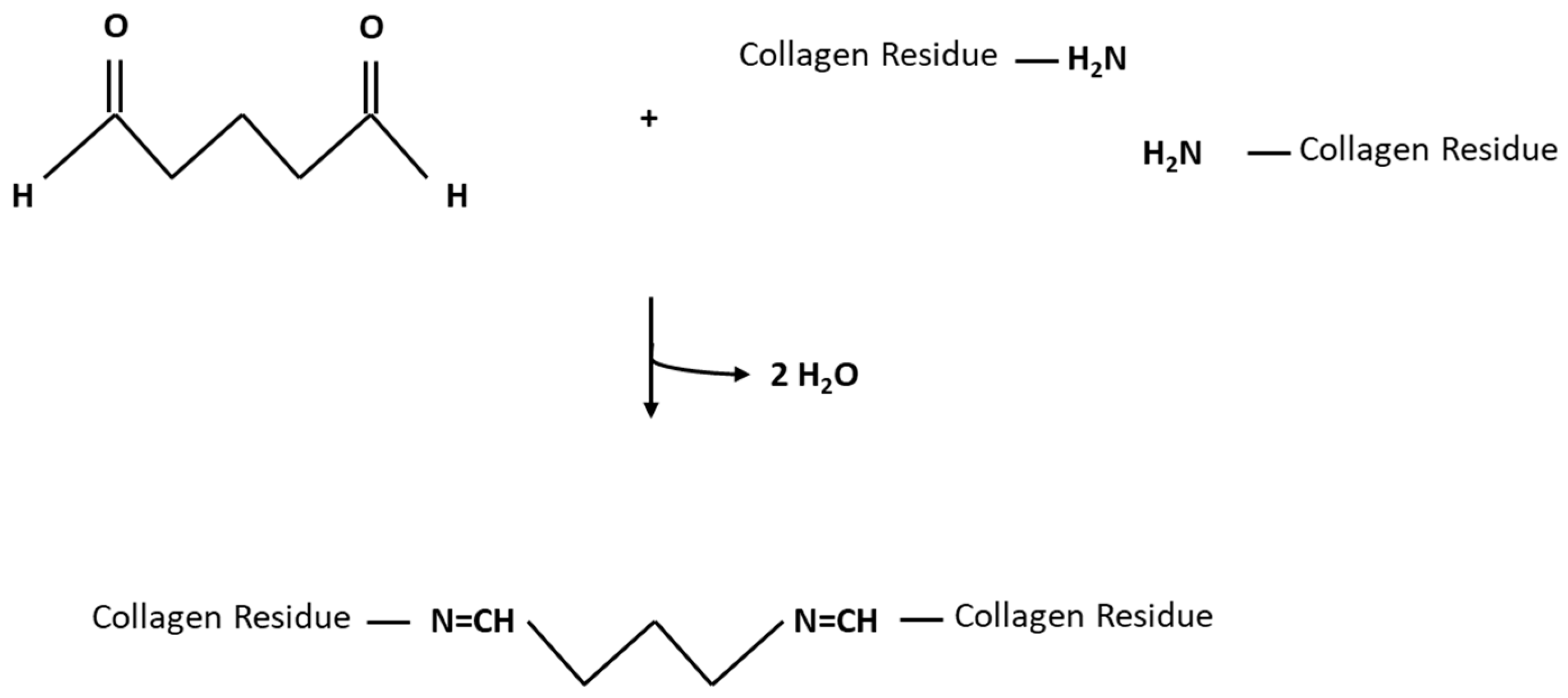 Bioengineering 10 01247 g002