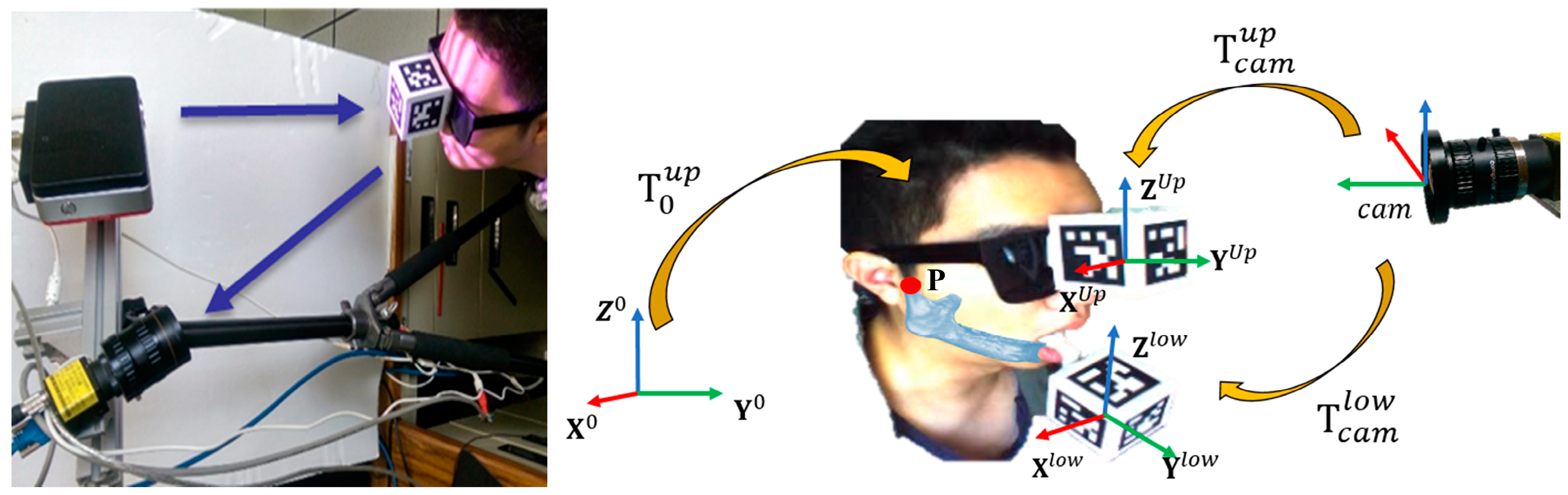 Bioengineering 10 01248 g004