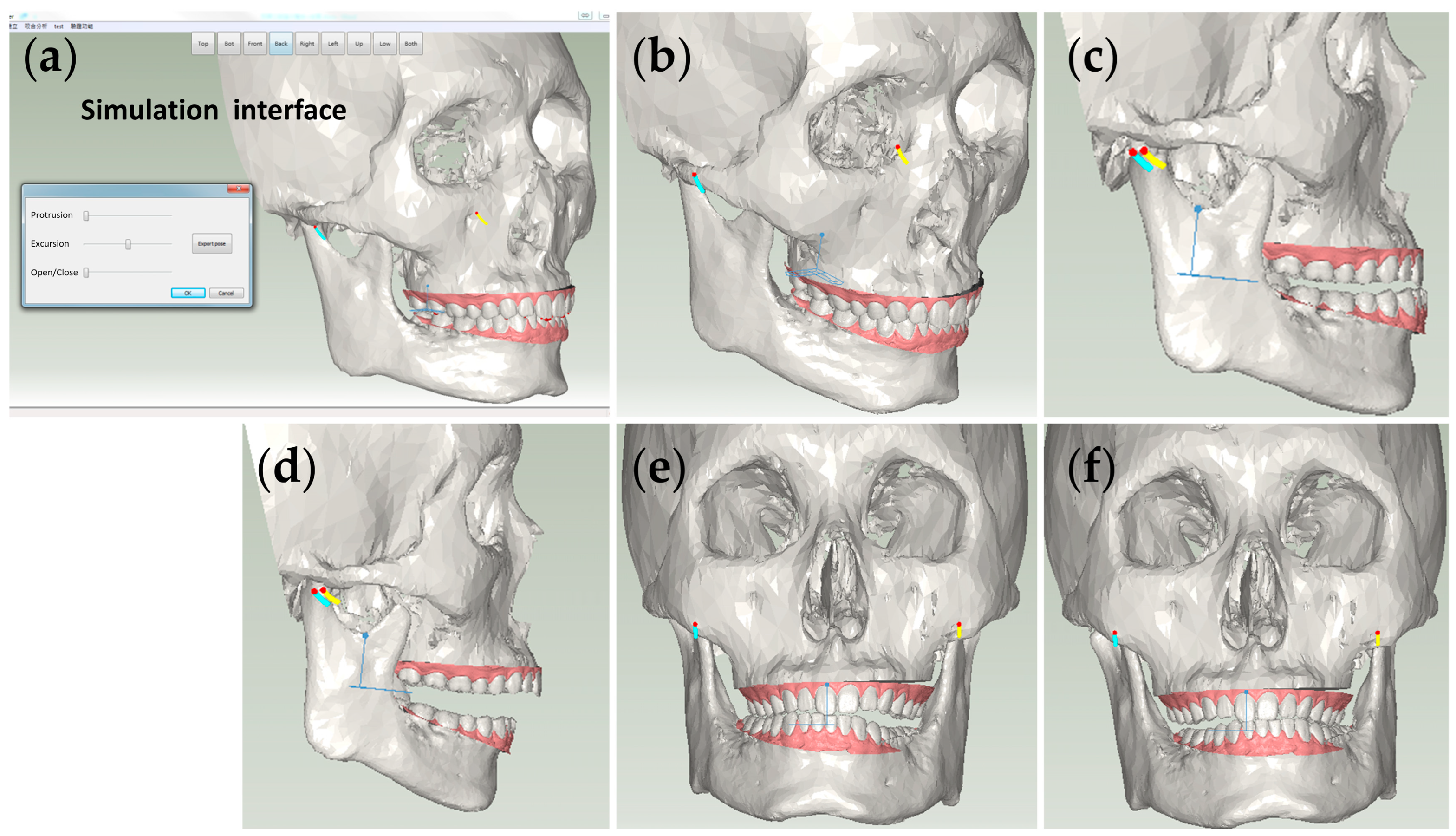 Bioengineering 10 01248 g009