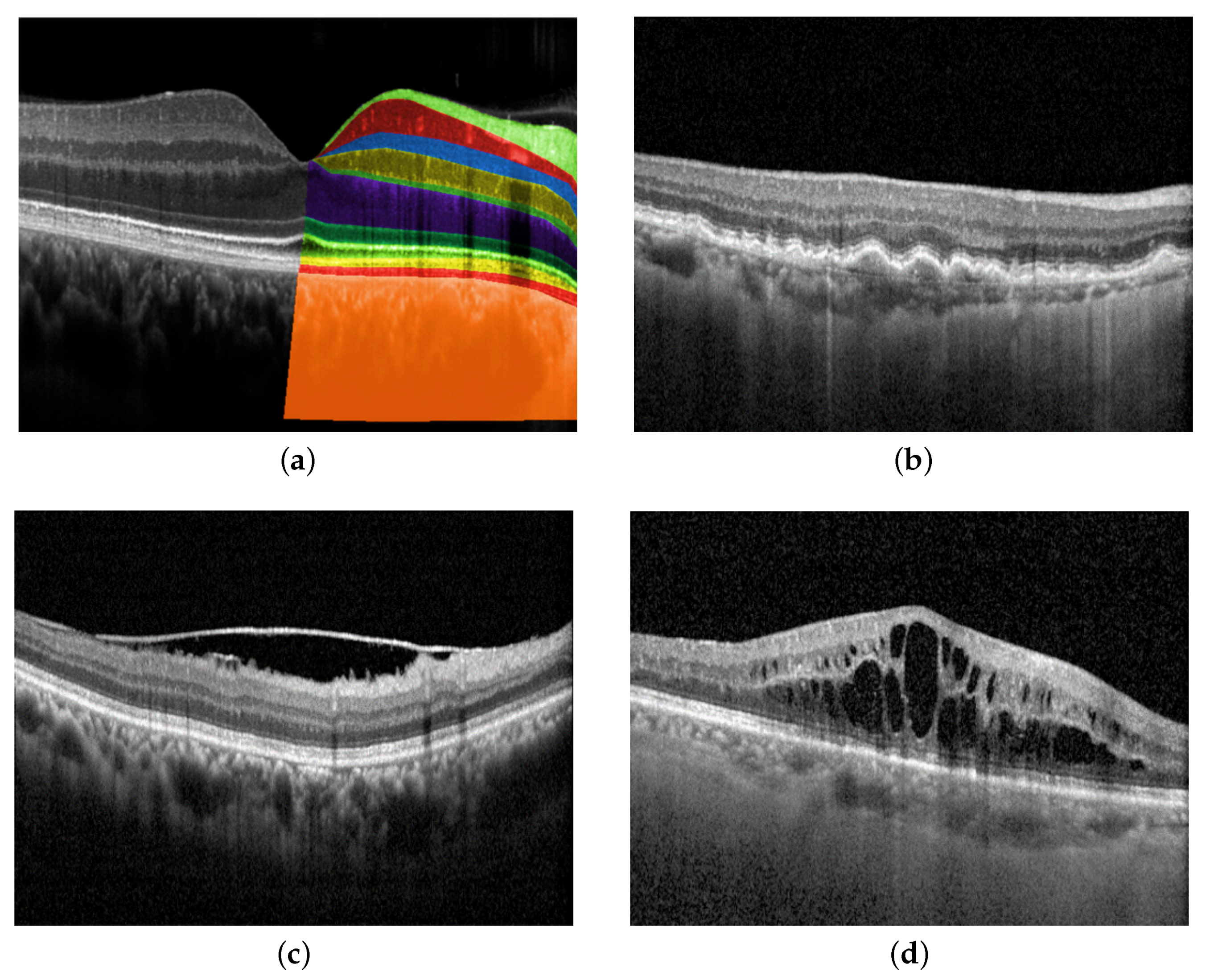 Bioengineering 10 01249 g001