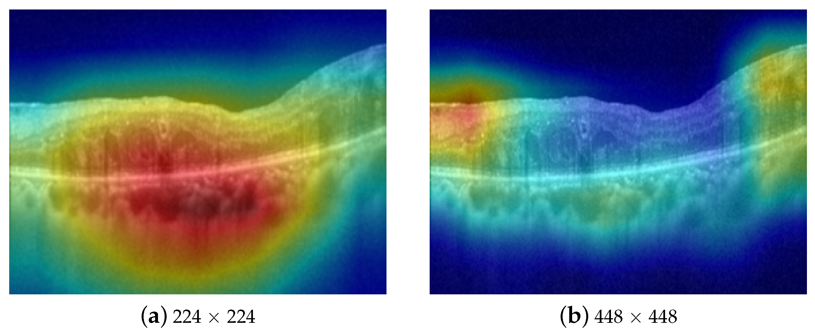 Bioengineering 10 01249 g002