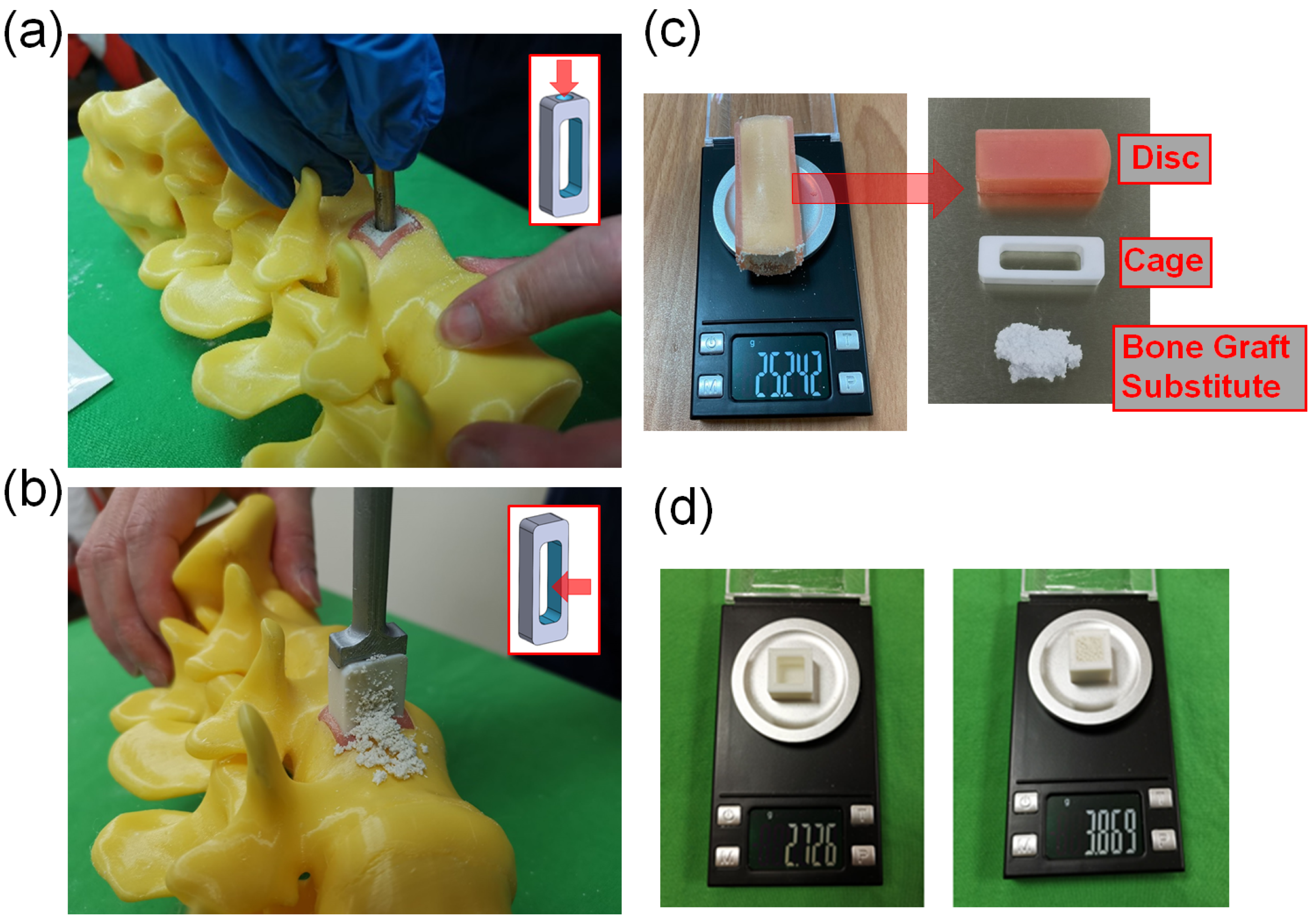 Bioengineering 10 01250 g002