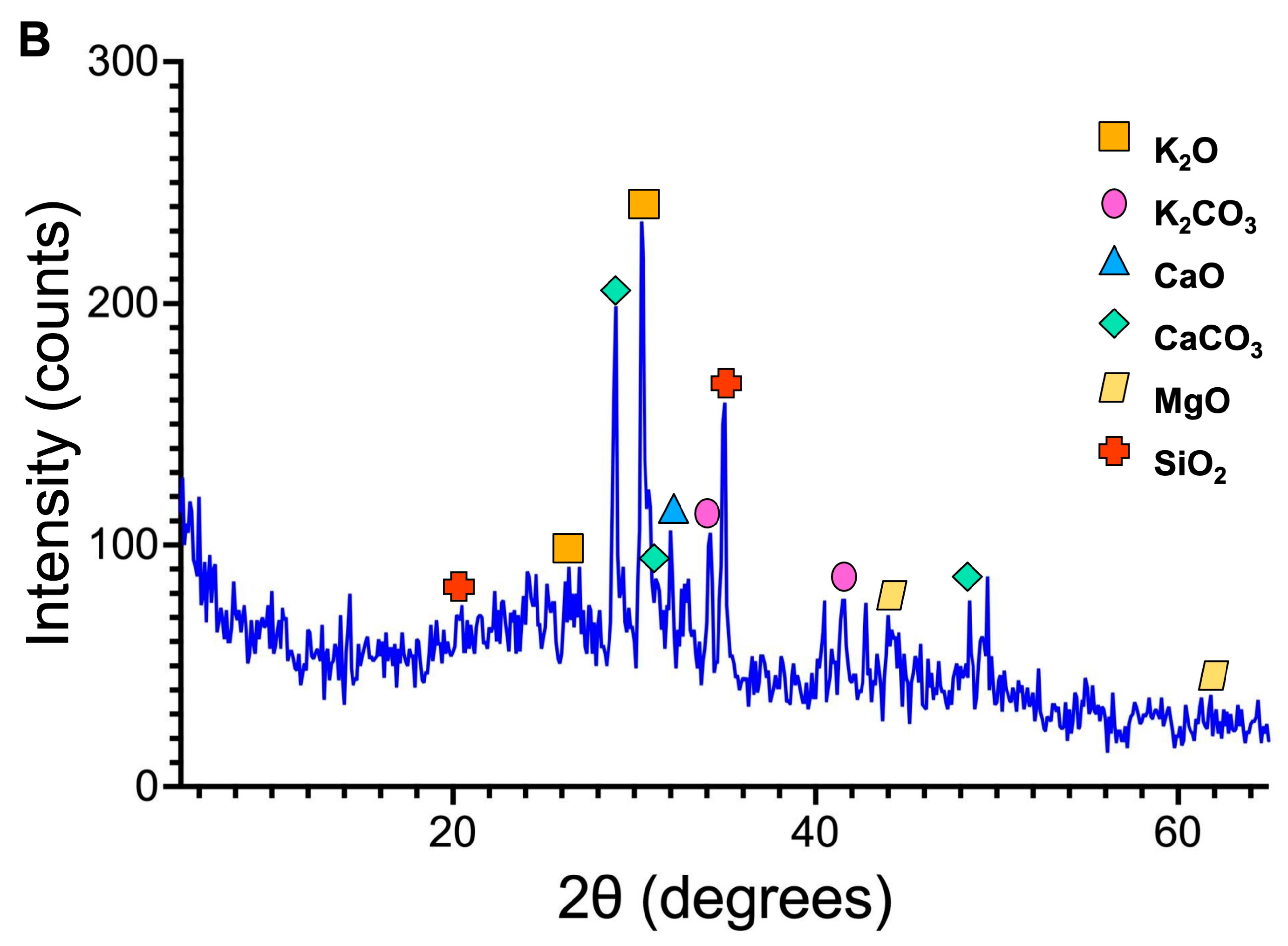 Bioengineering 10 01253 g001b
