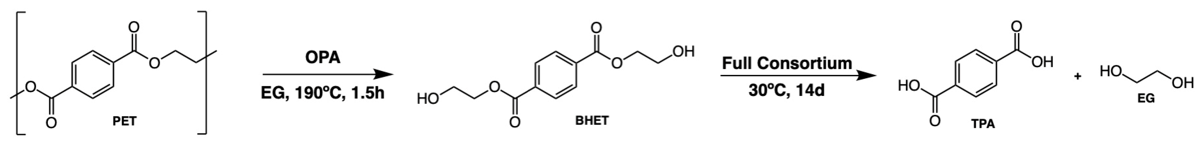 Bioengineering 10 01253 sch001