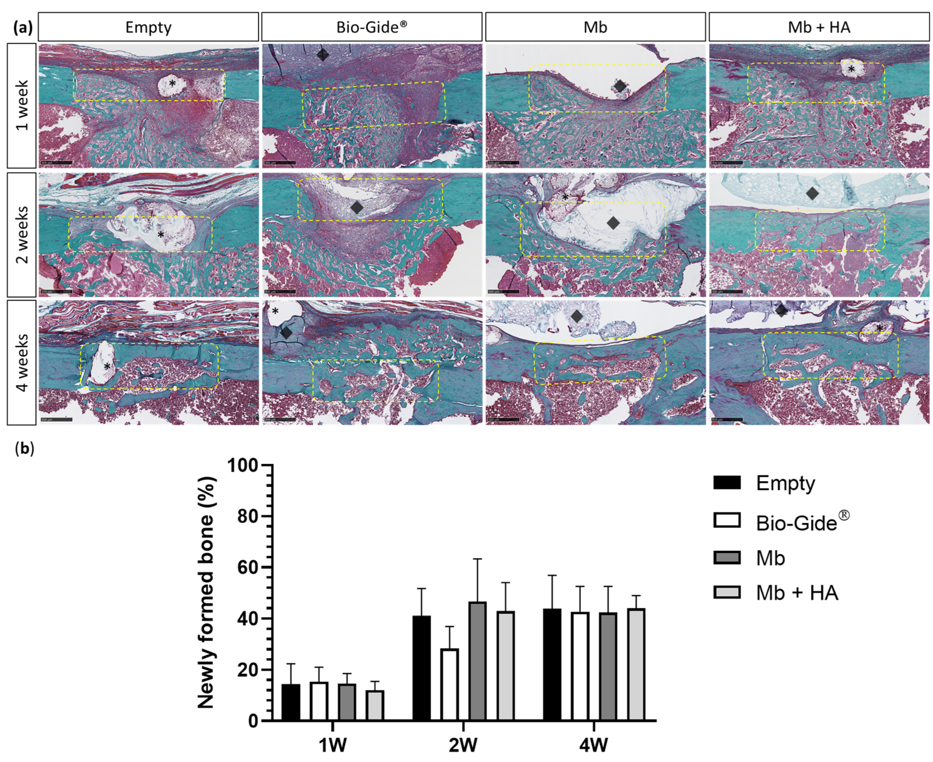 Bioengineering 10 01257 g005