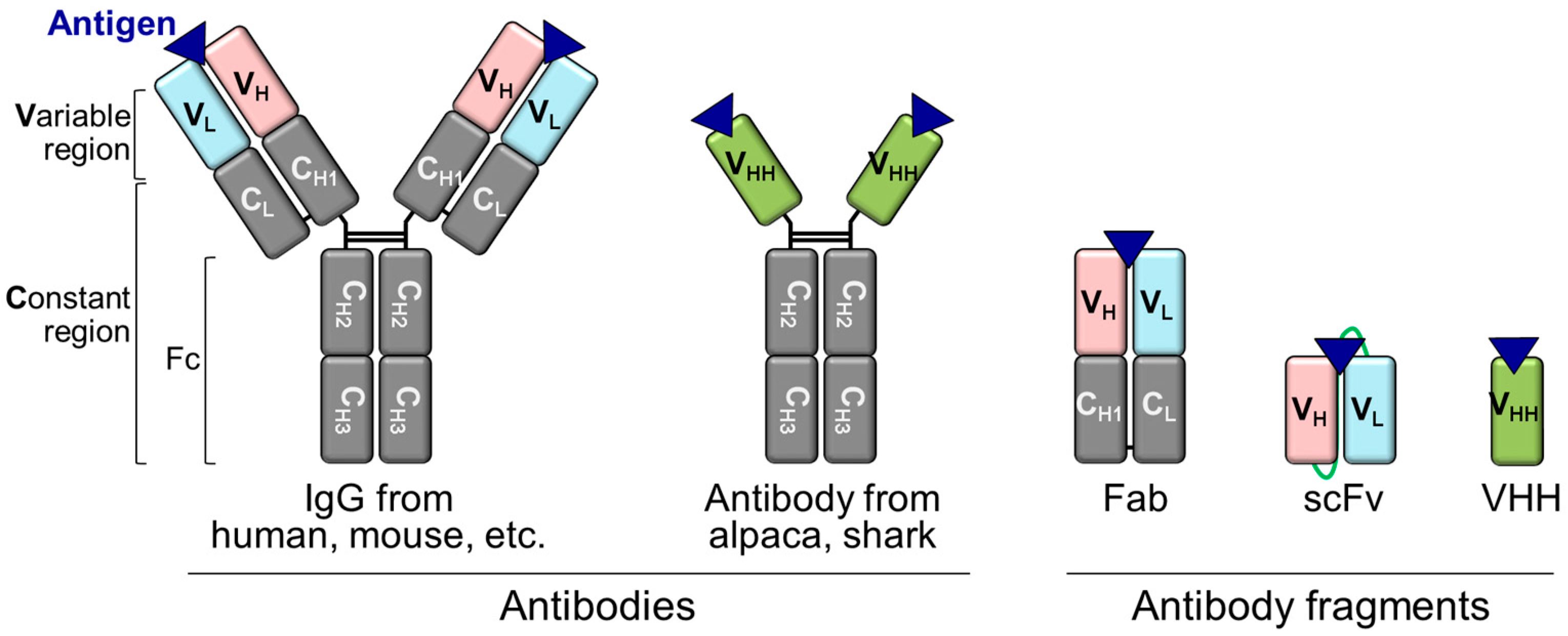 Bioengineering 10 01262 g002