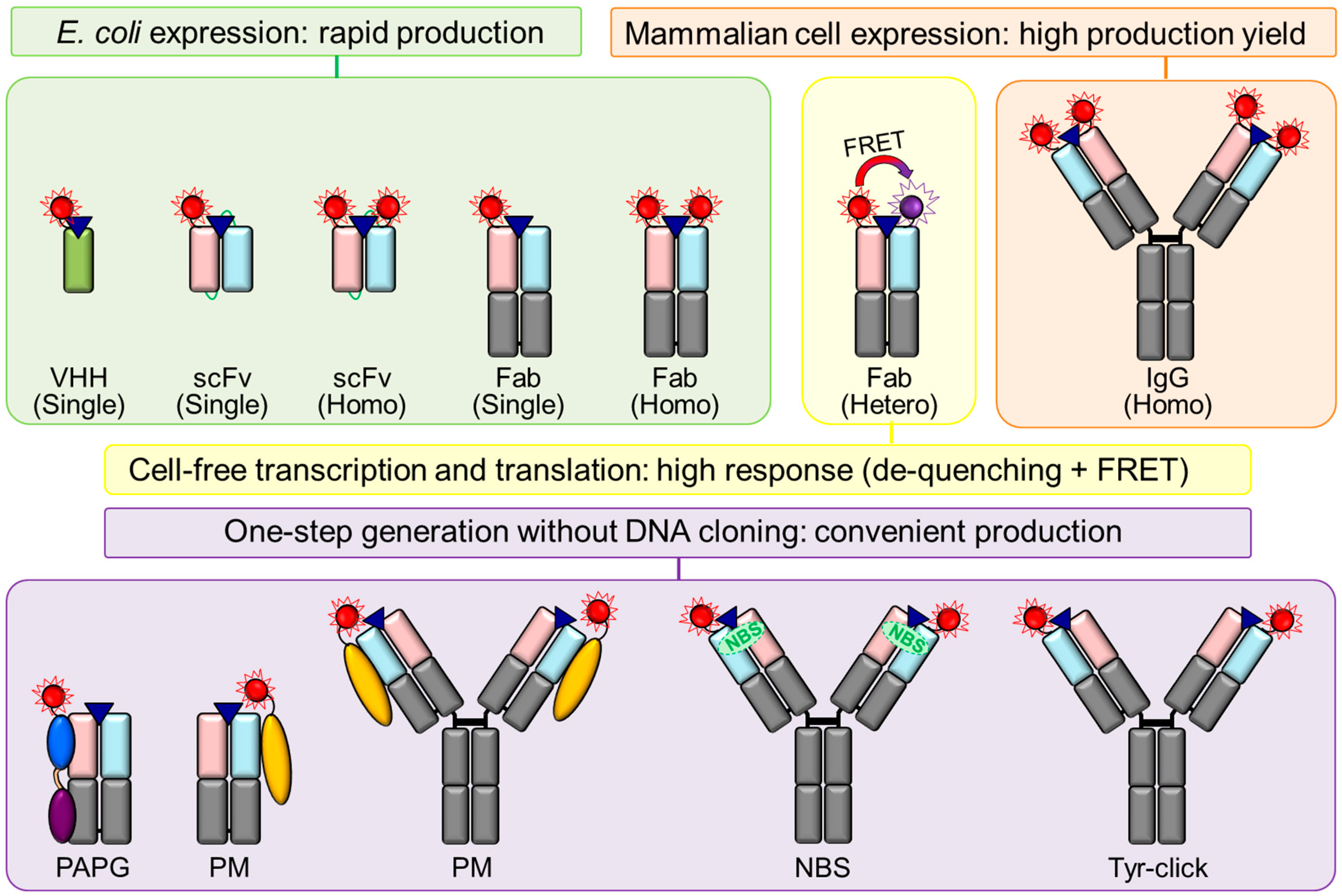 Bioengineering 10 01262 g003