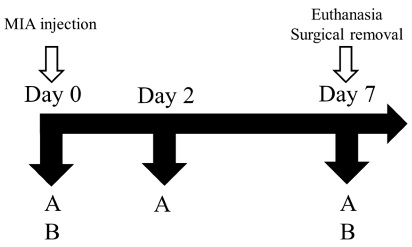 Bioengineering 10 01263 g002