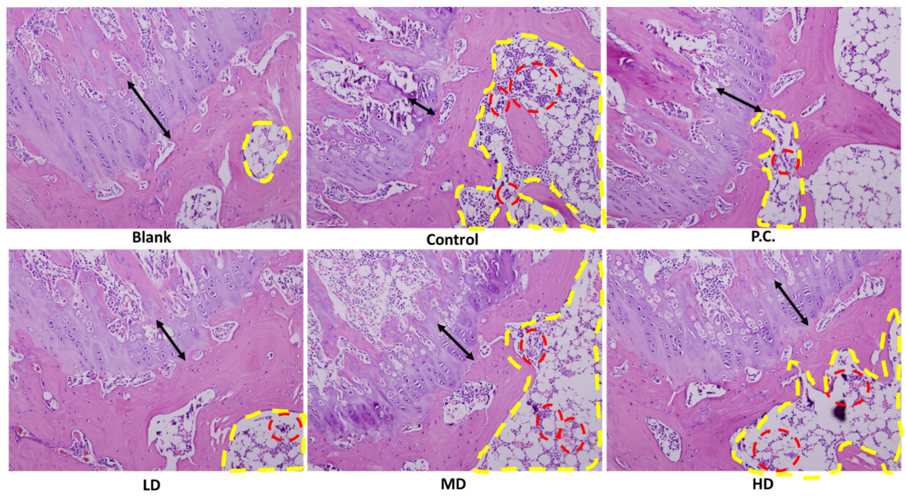 Bioengineering 10 01263 g007