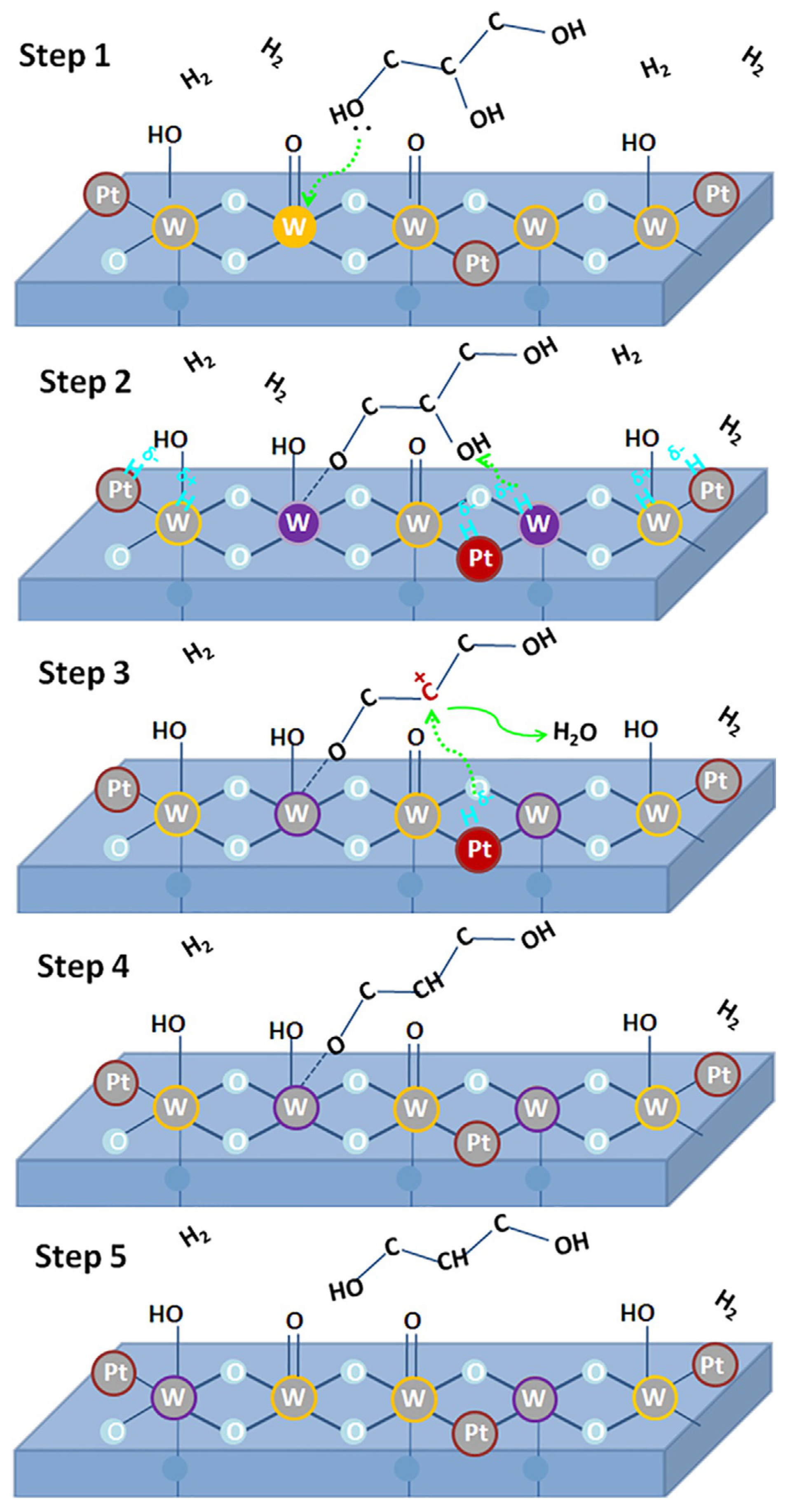 Bioengineering 10 01264 g007