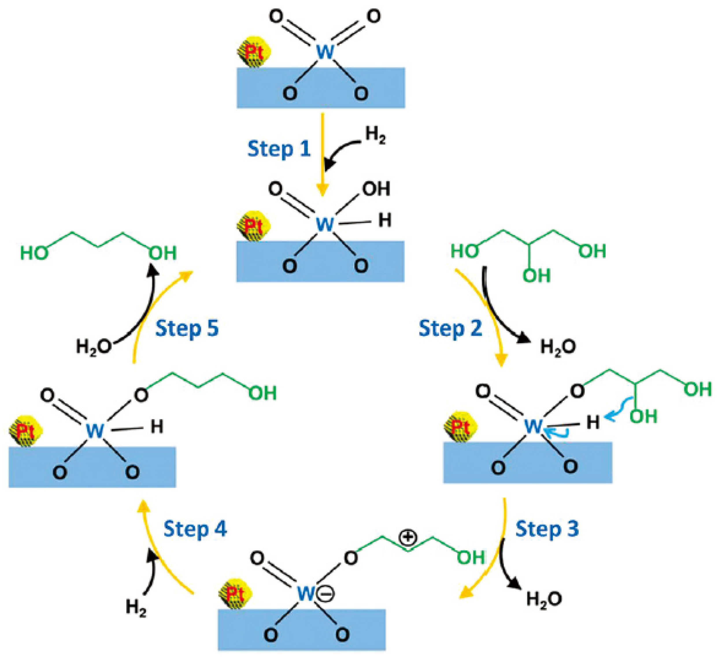 Bioengineering 10 01264 g011