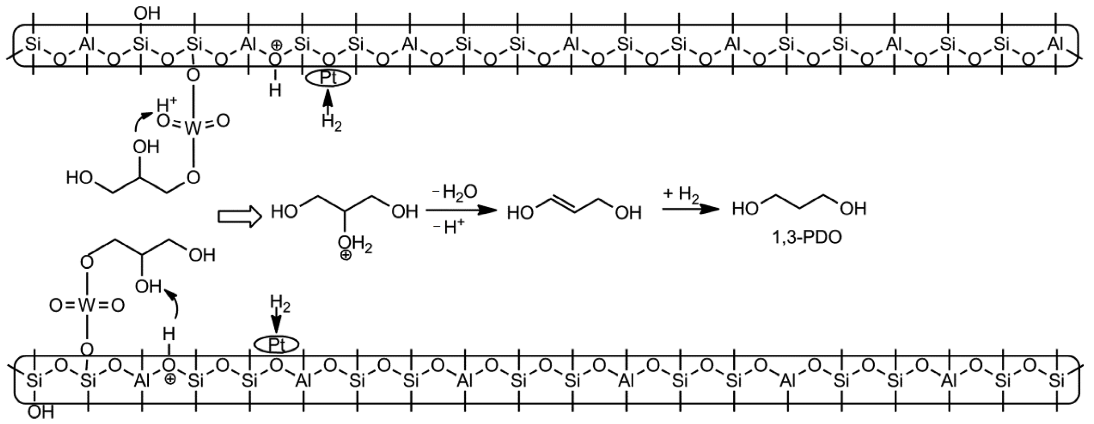 Bioengineering 10 01264 g012