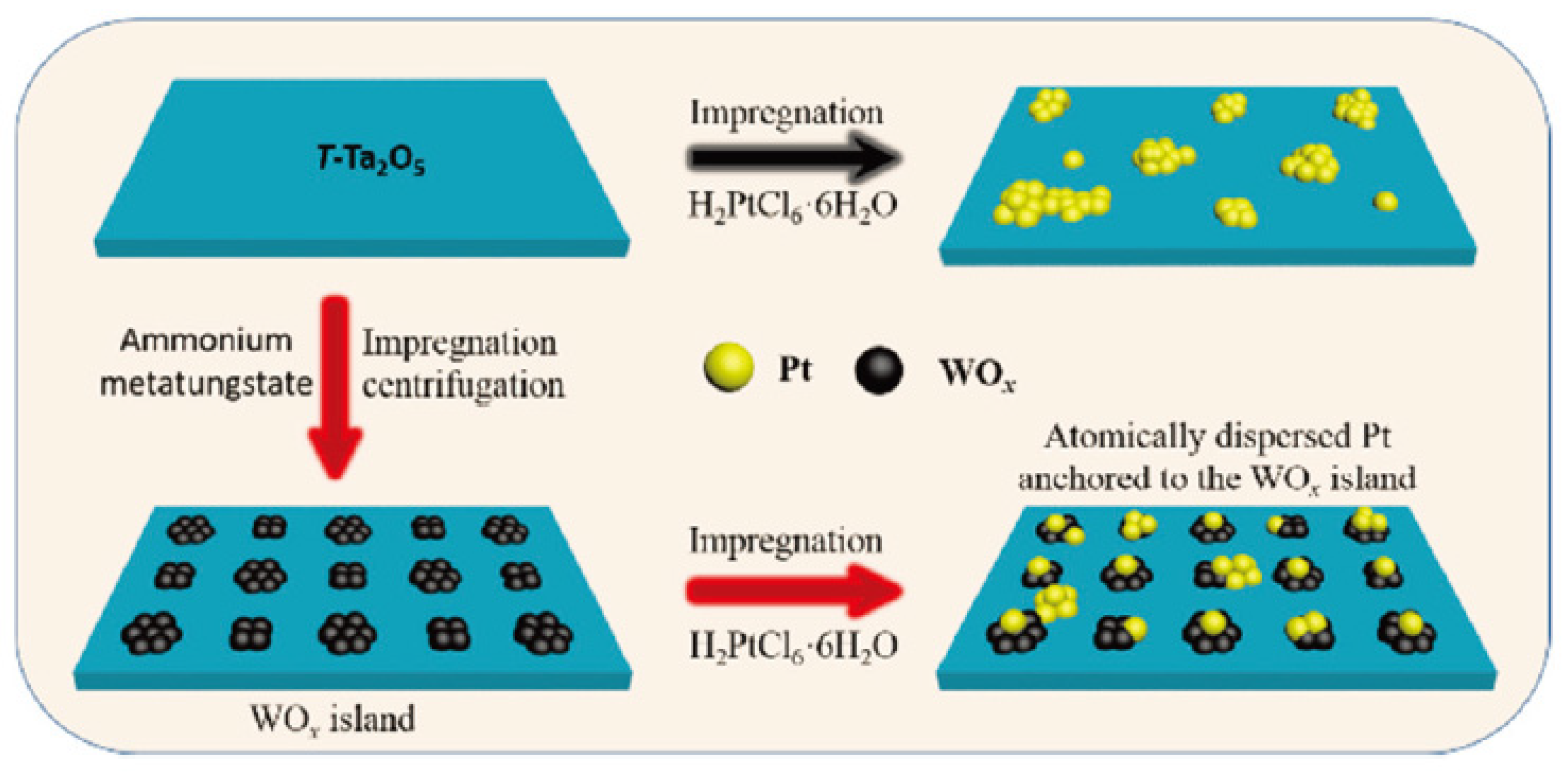 Bioengineering 10 01264 g013