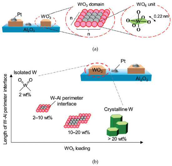 Recent Progress in Catalyst Development of the