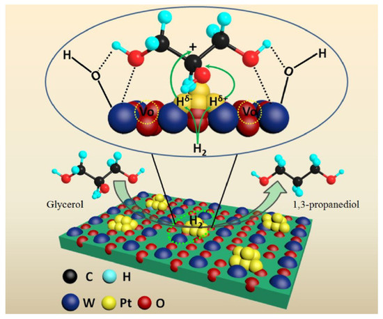 Recent Progress in Catalyst Development of the