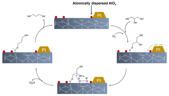 Recent Progress in Catalyst Development of the
