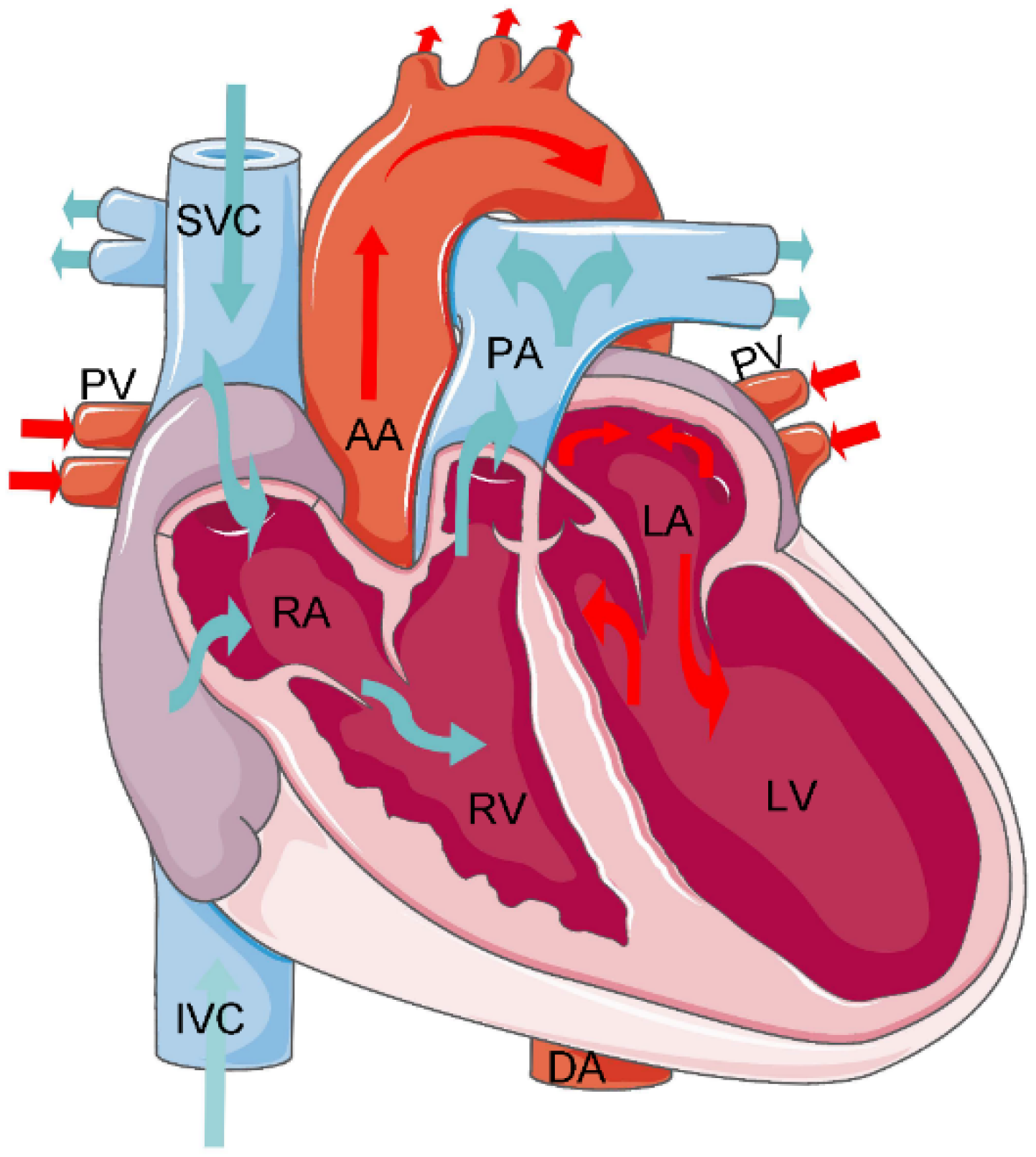 Bioengineering 10 01267 g003