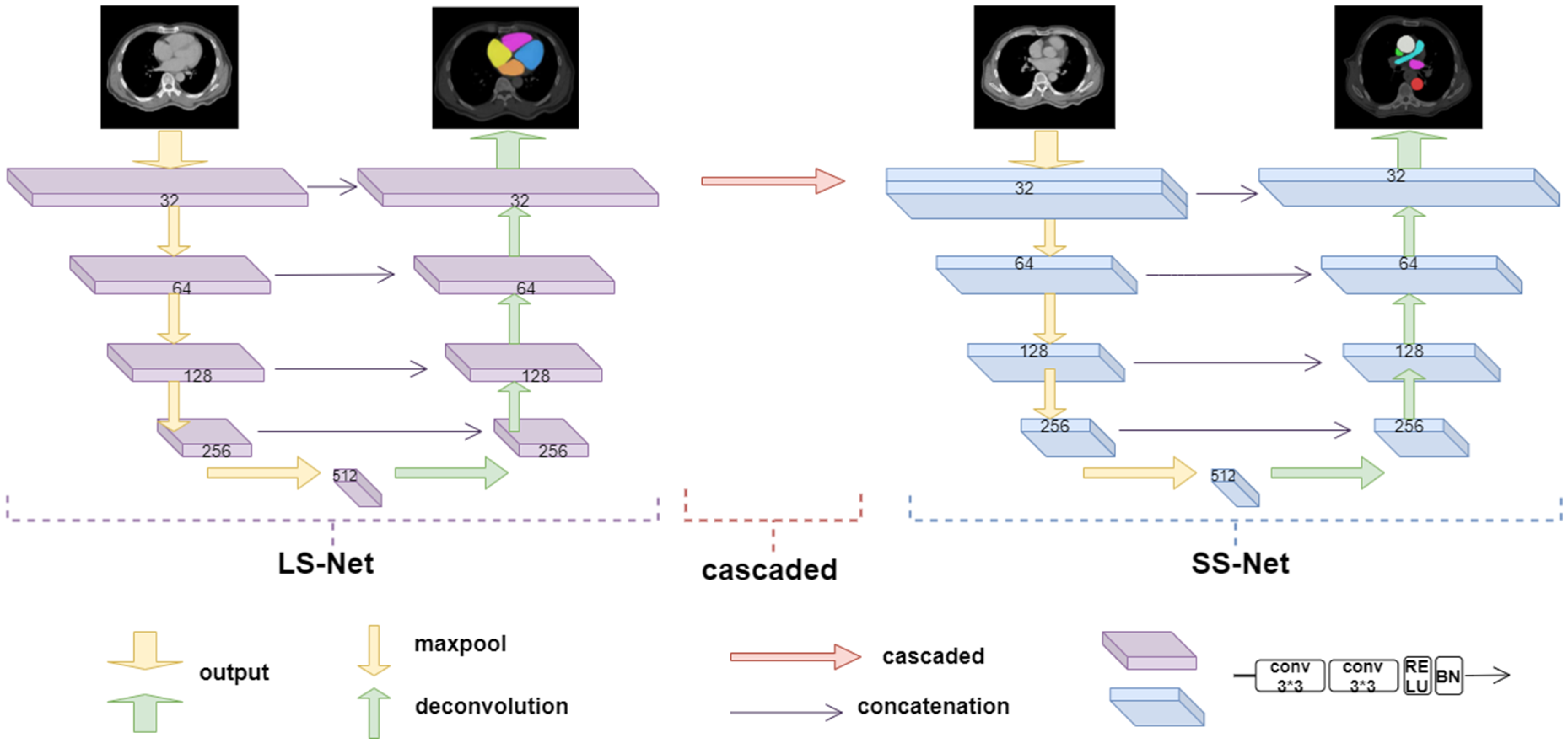 Bioengineering 10 01267 g005
