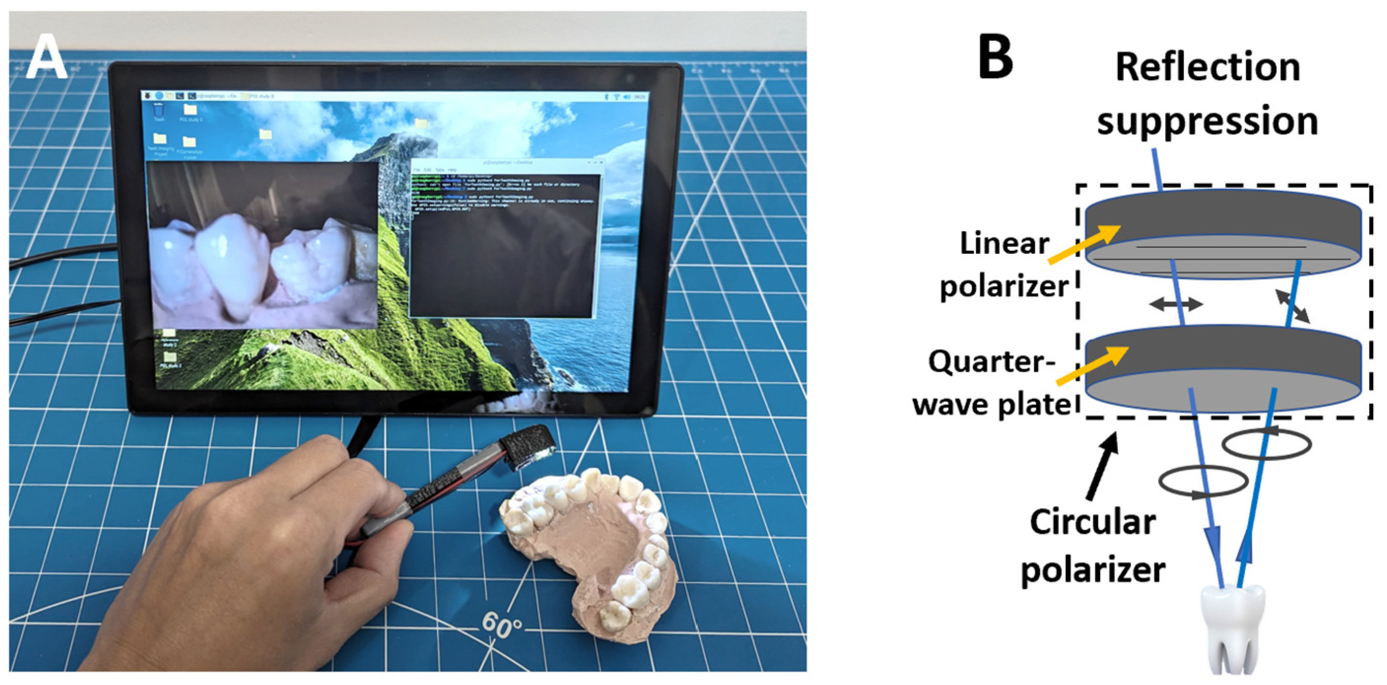Bioengineering 10 01268 g001