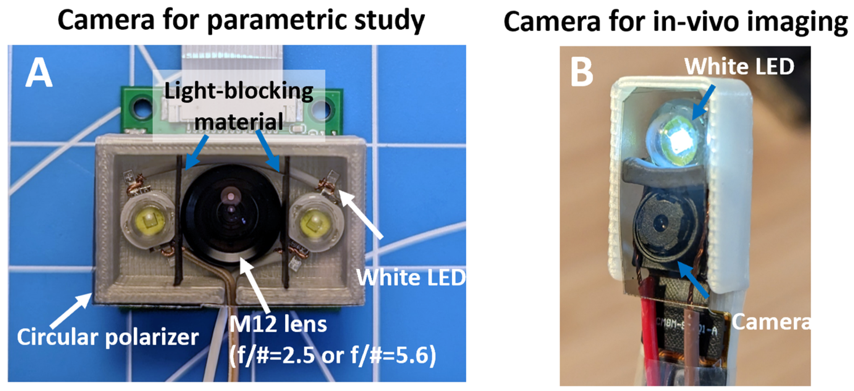 Bioengineering 10 01268 g003