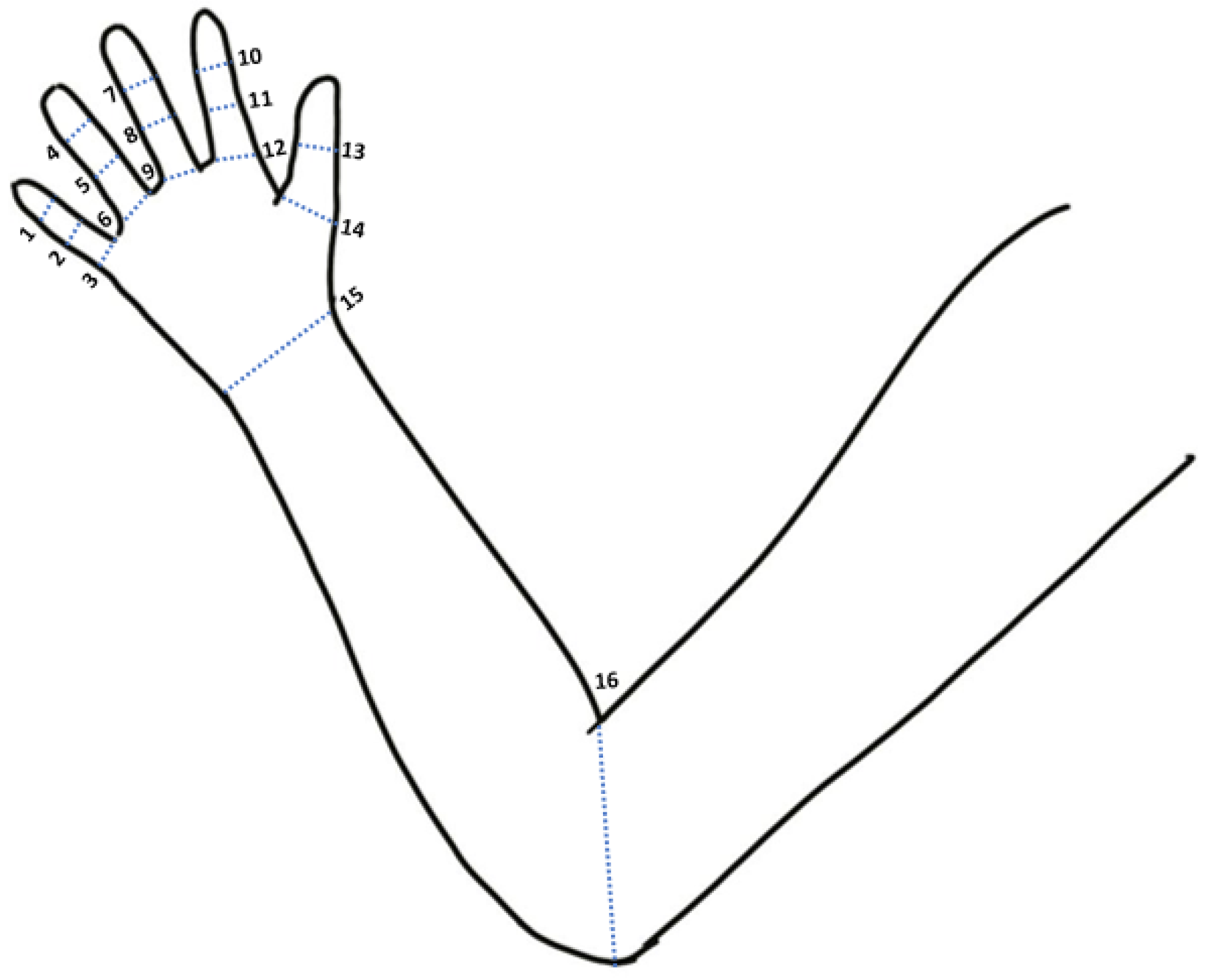 Bioengineering 10 01273 g001