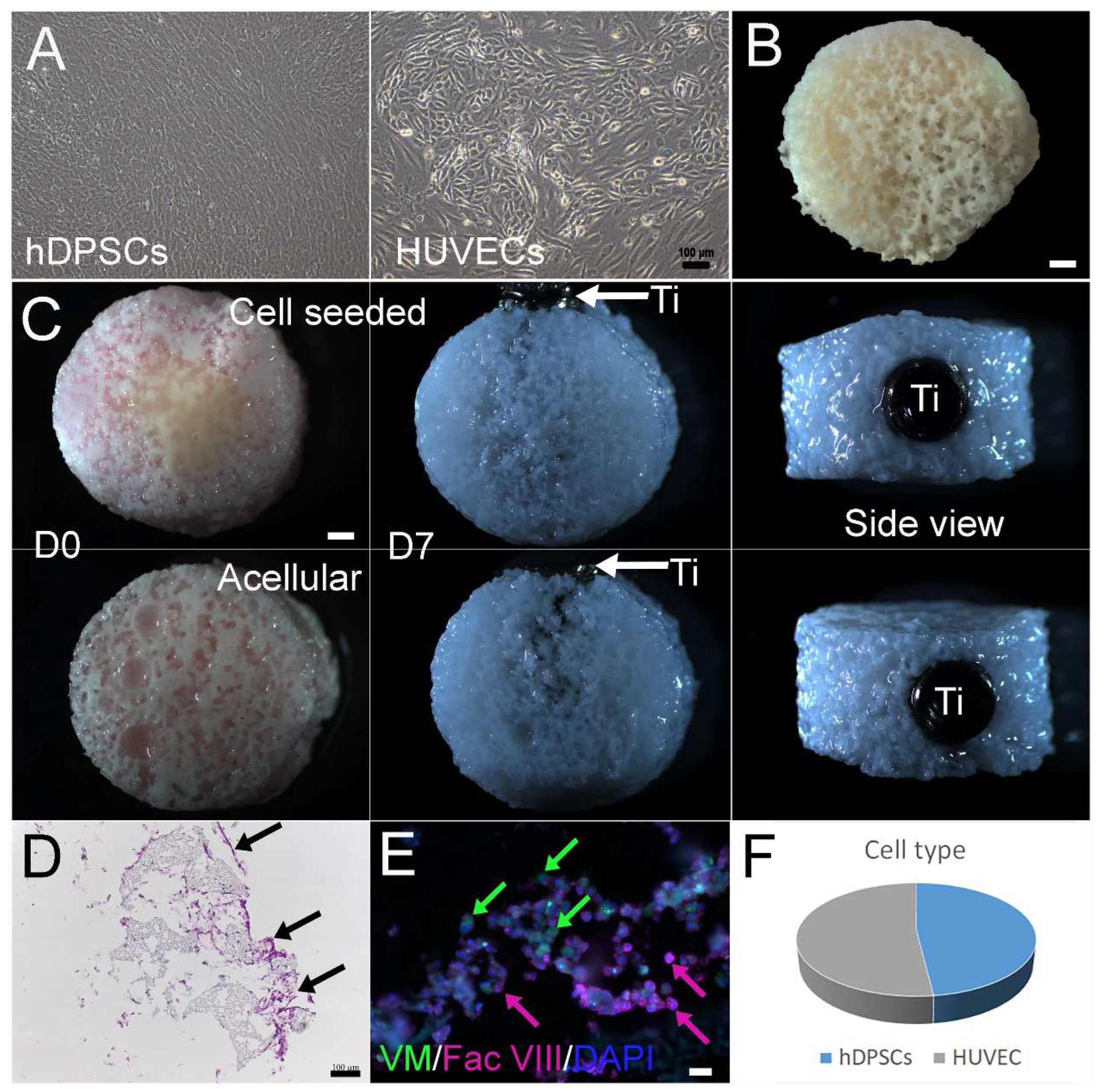 Bioengineering 10 01277 g002