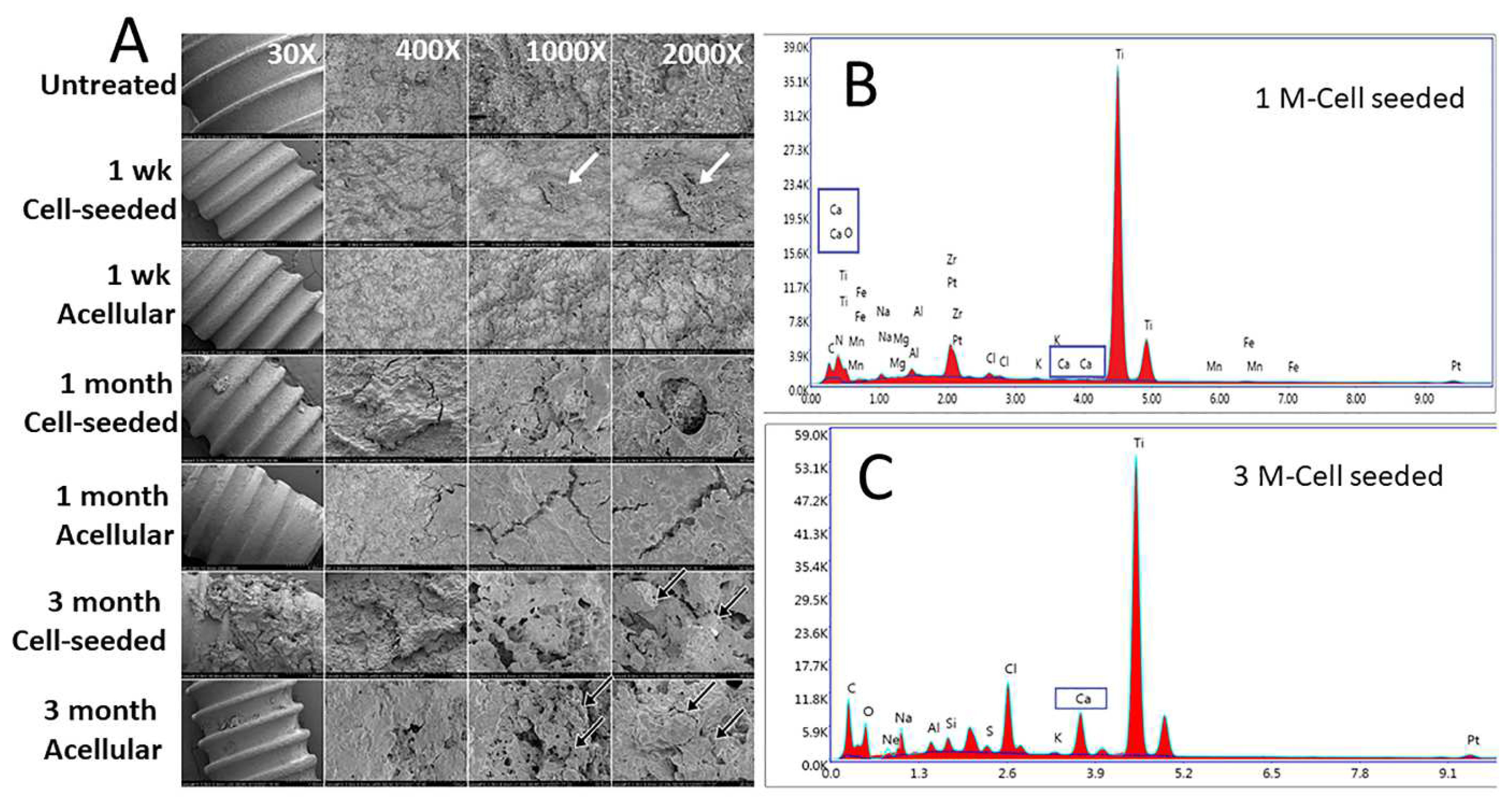 Bioengineering 10 01277 g006