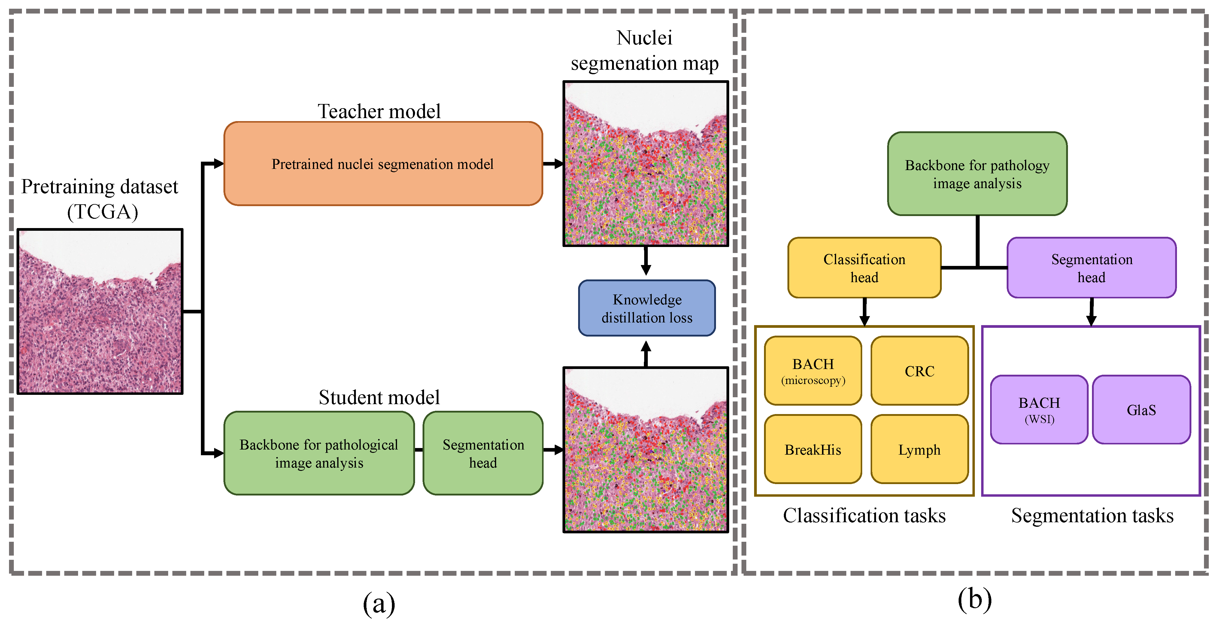Bioengineering 10 01279 g001