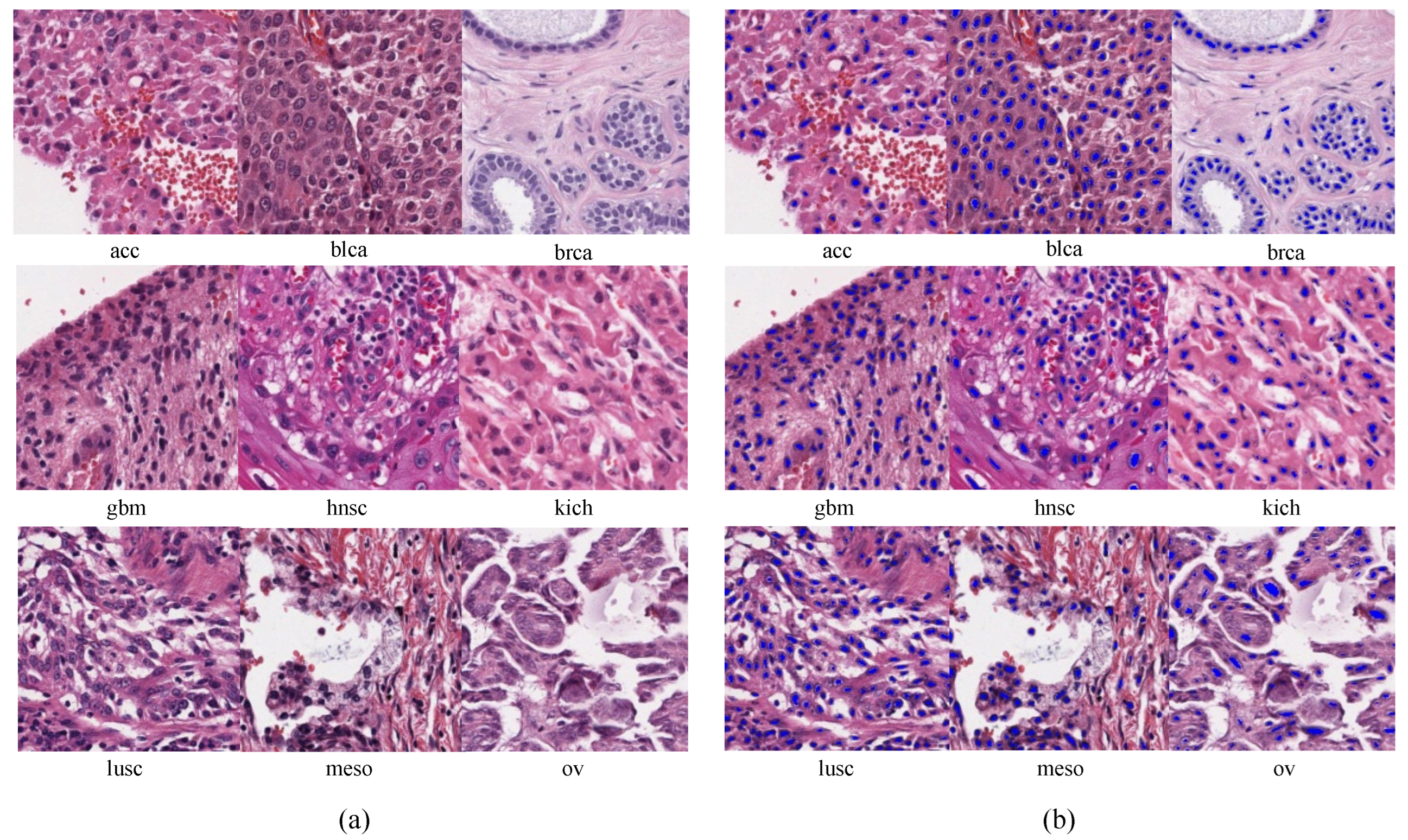 Bioengineering 10 01279 g003
