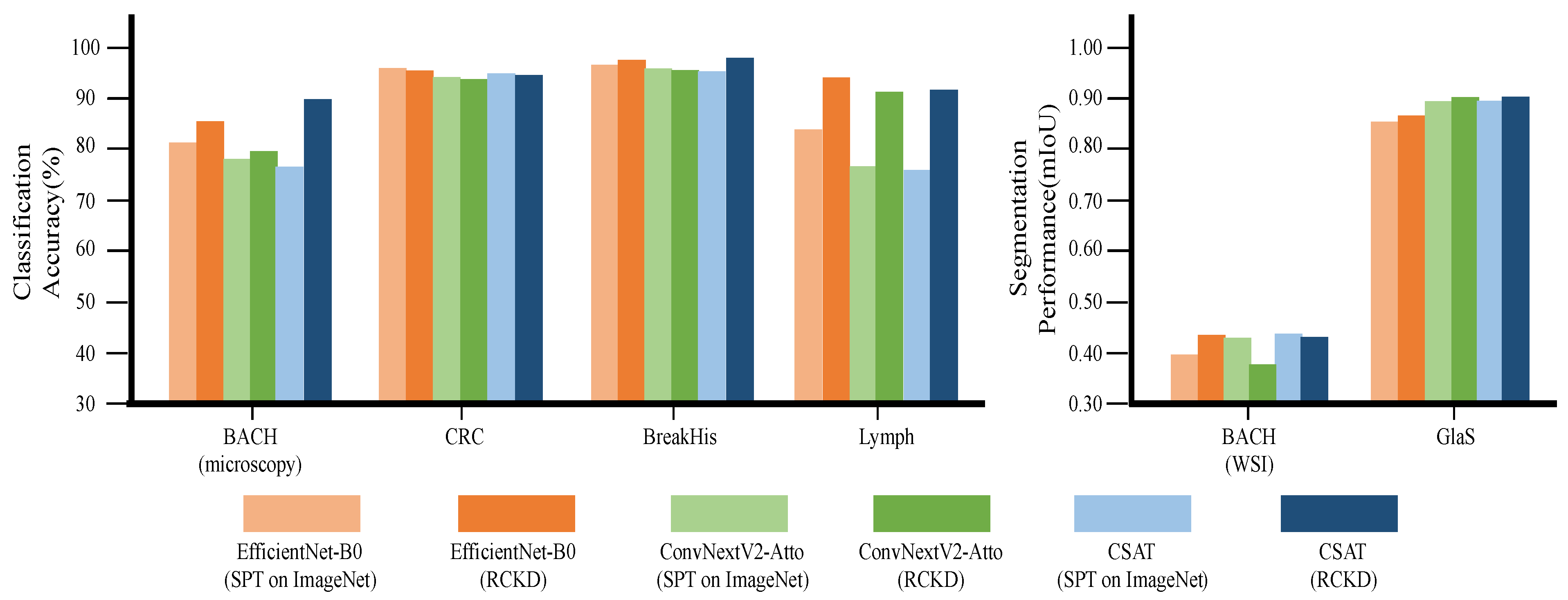 Bioengineering 10 01279 g007