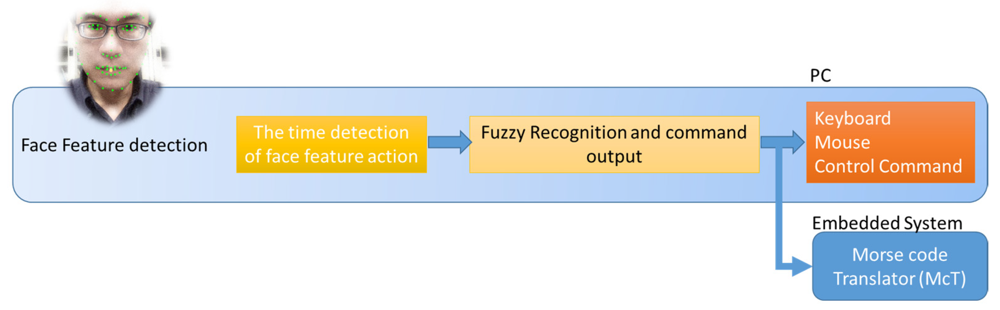 Bioengineering 10 01281 g001